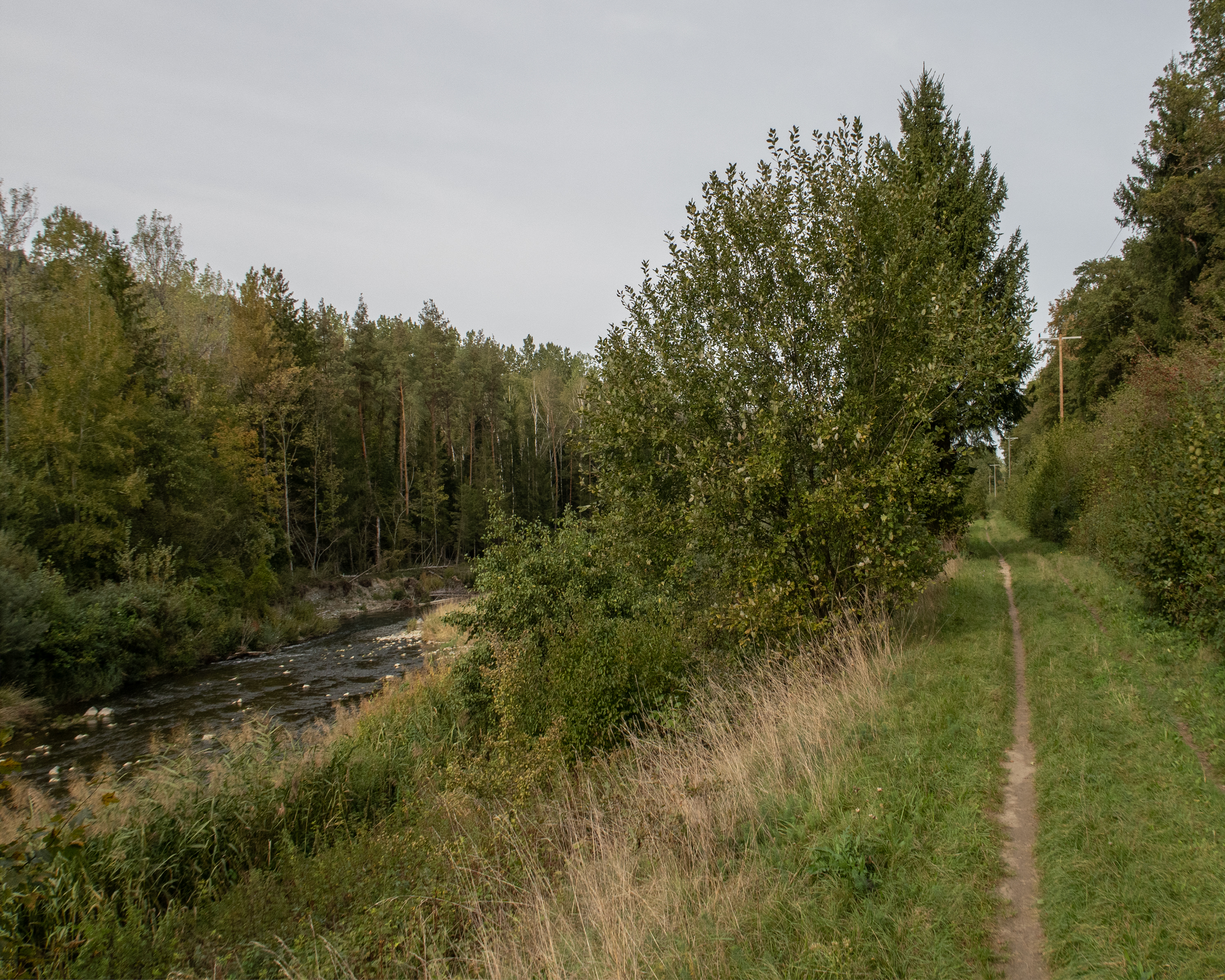 ViaJacobi, Tappa 31/33