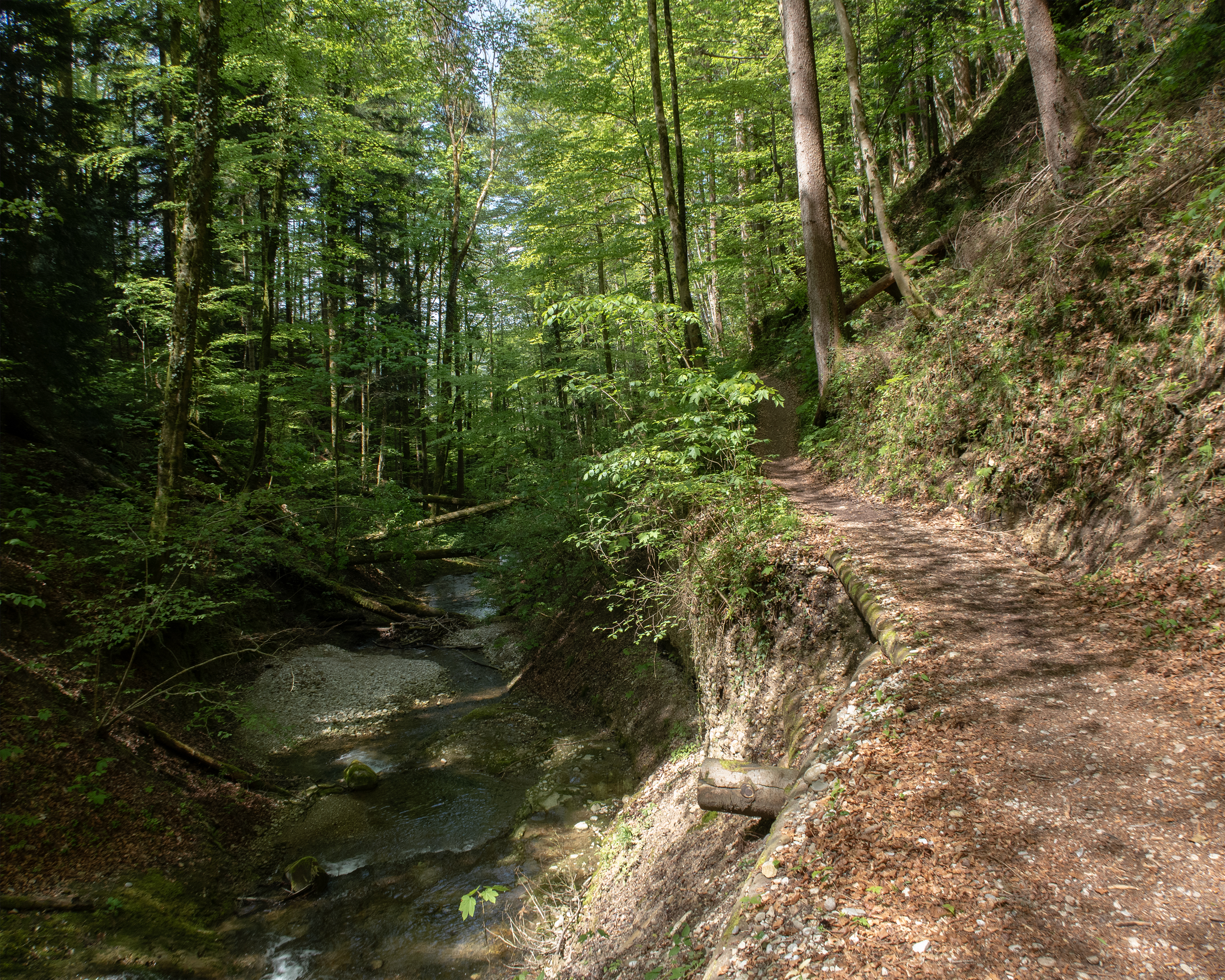 Thurweg, Etappe 3/8