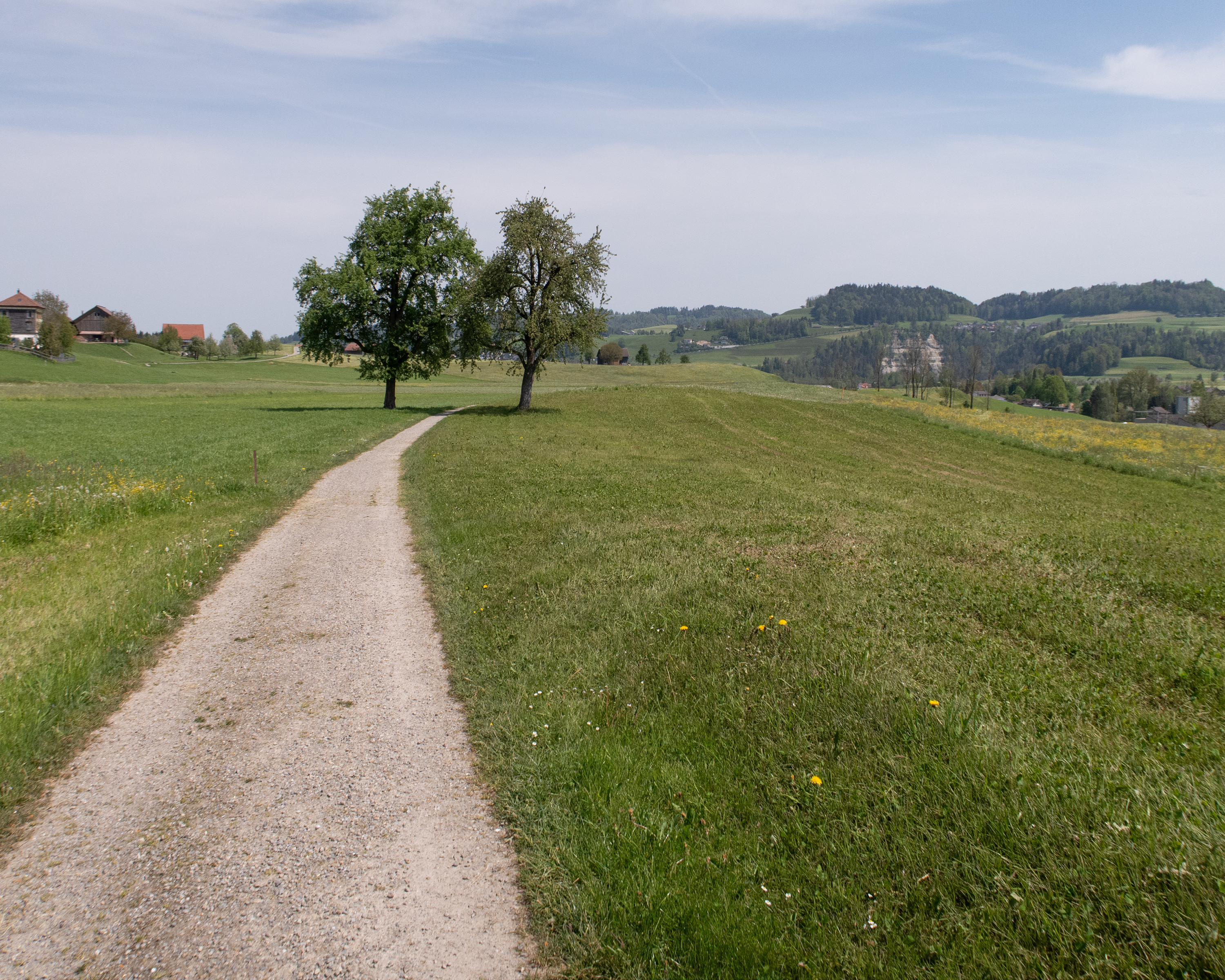 Thurweg