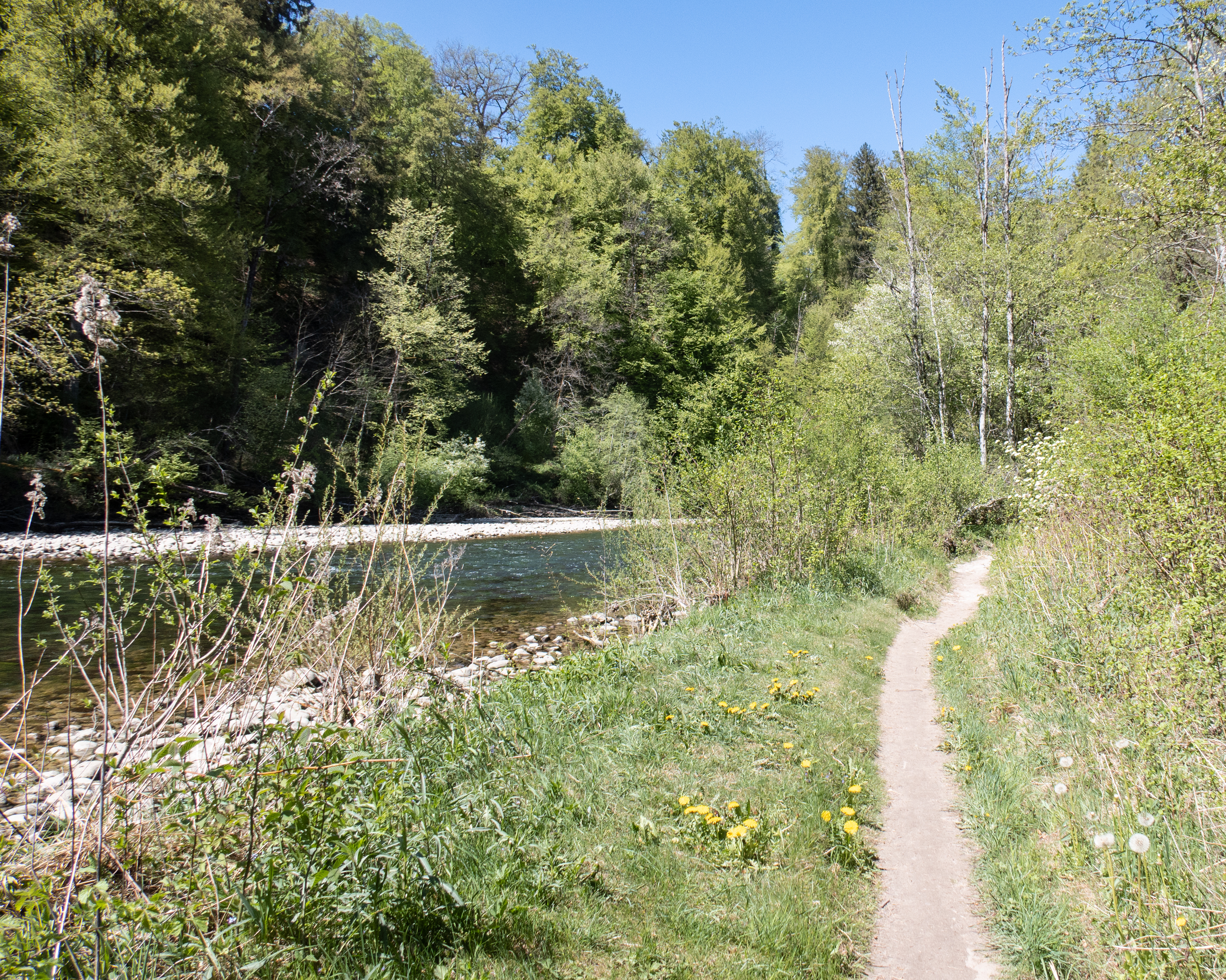 Chemin de la Sarine fribourgeoise