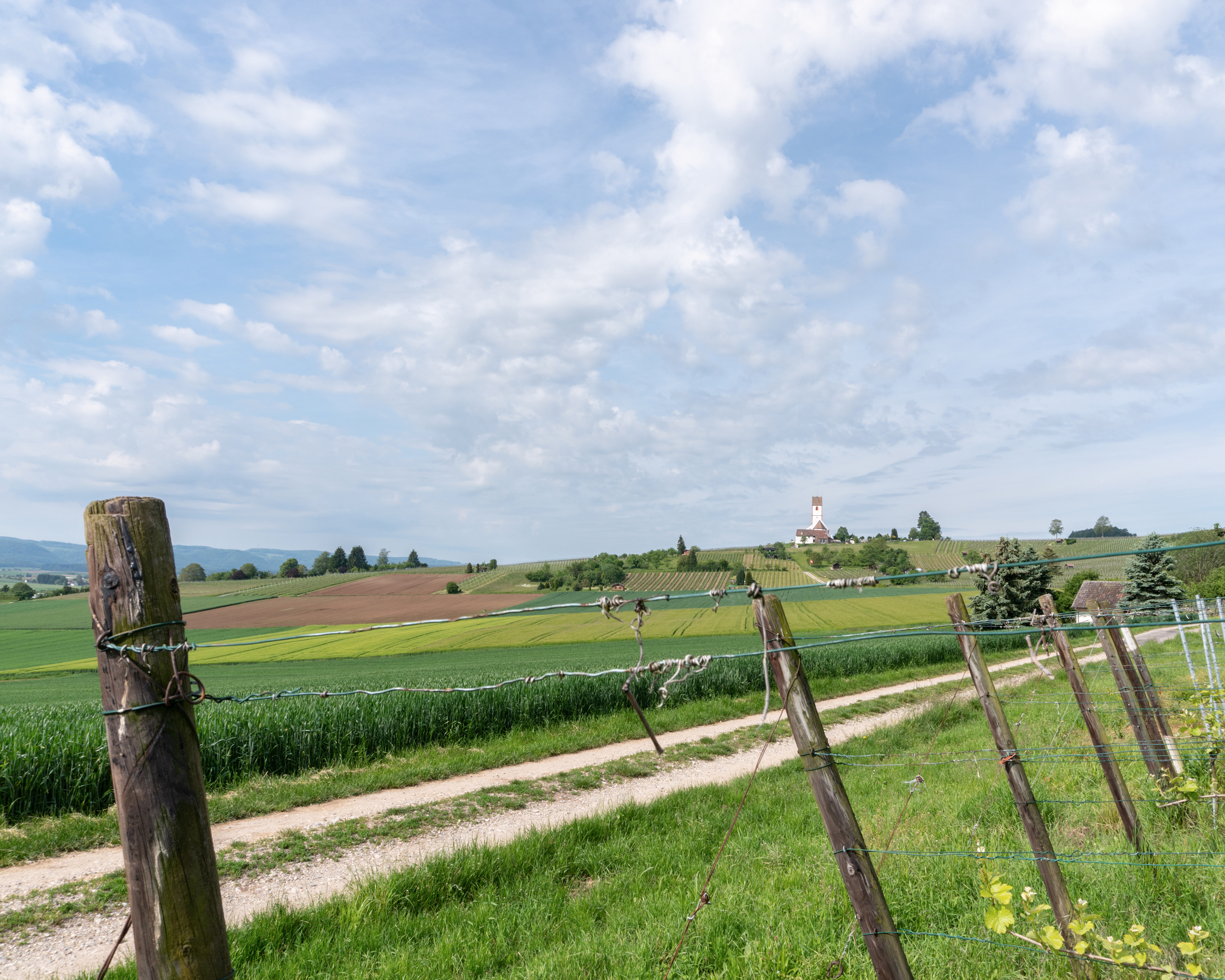 Klettgau-Rhein-Weg, Etappe 1/2