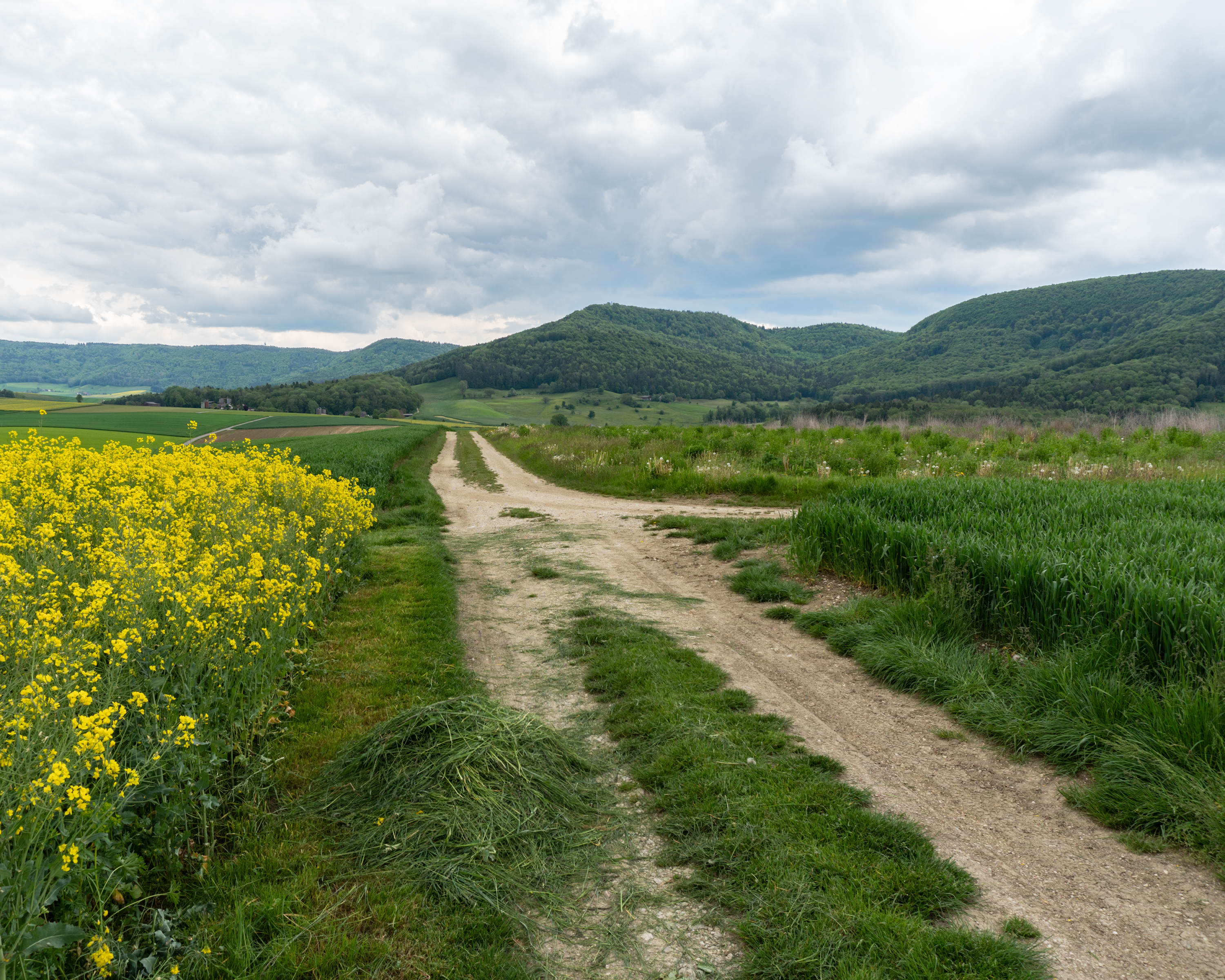 Klettgau-Rhein-Weg
