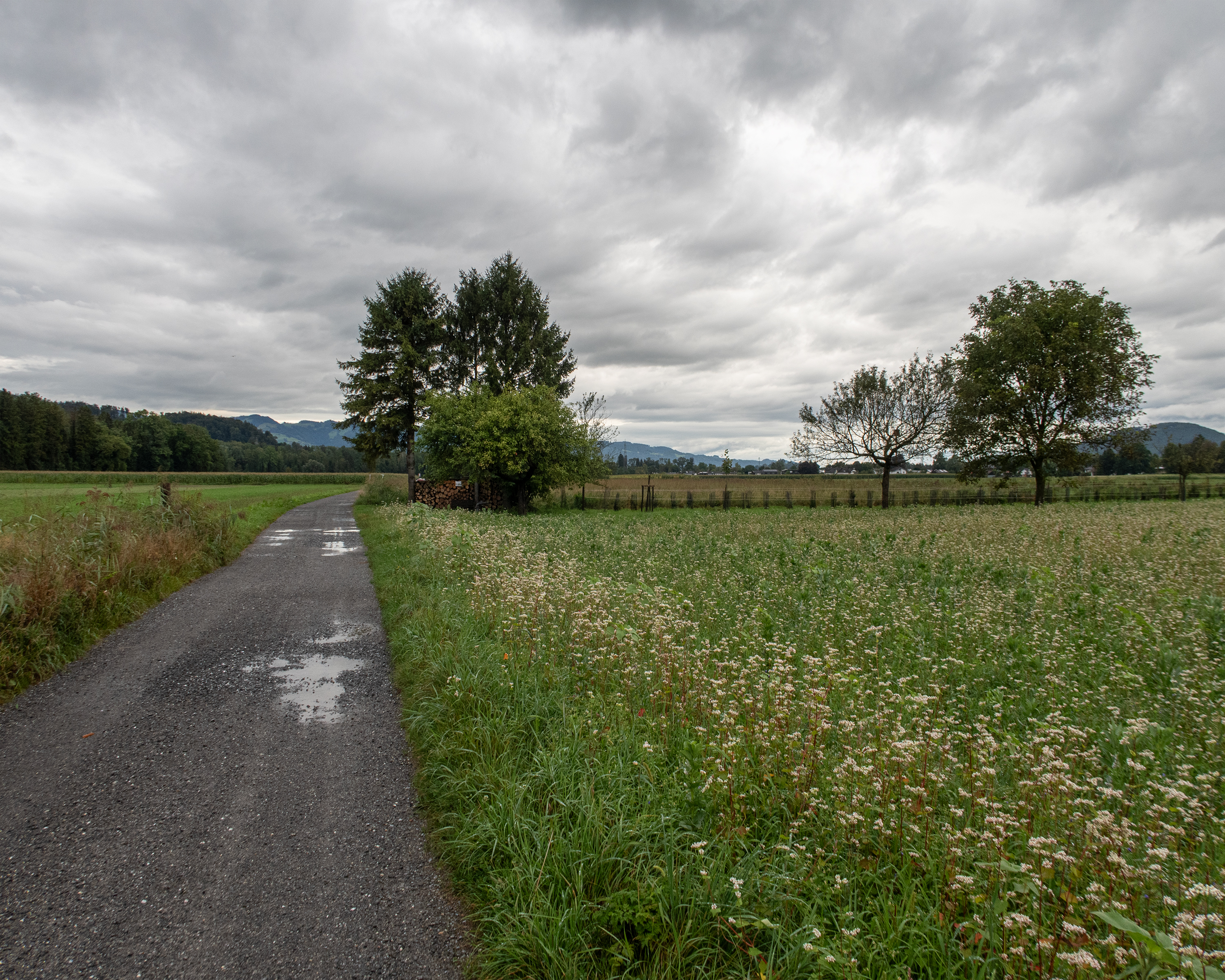 Appenzeller Weg, Etappe 1/3