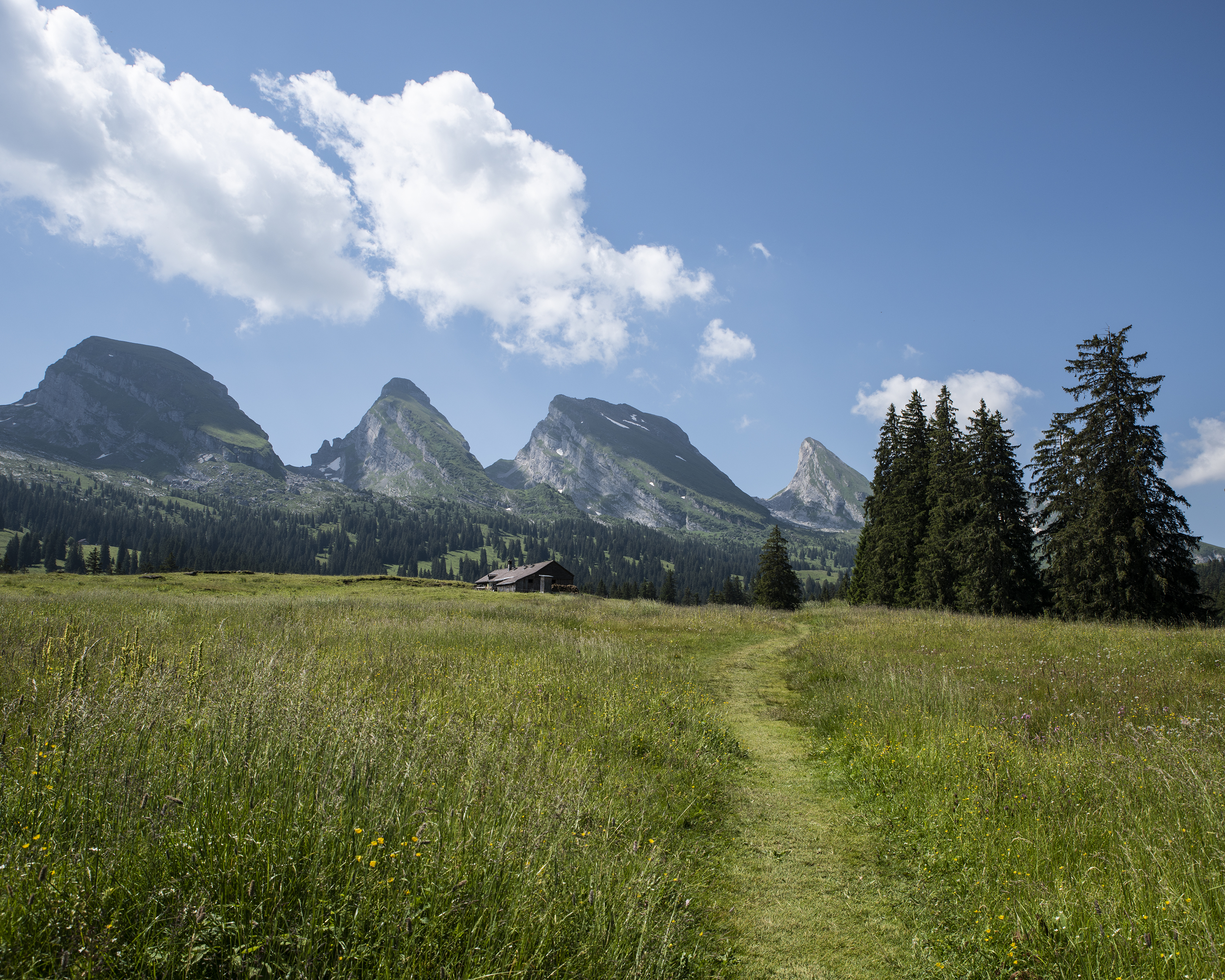 Toggenburger Höhenweg