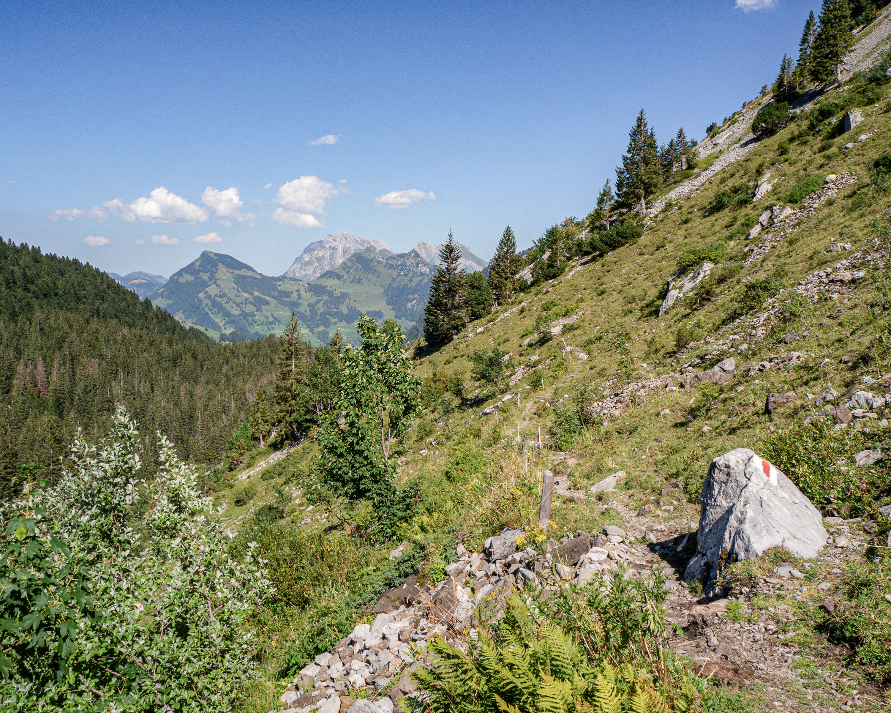 Toggenburger Höhenweg, Etappe 2/6