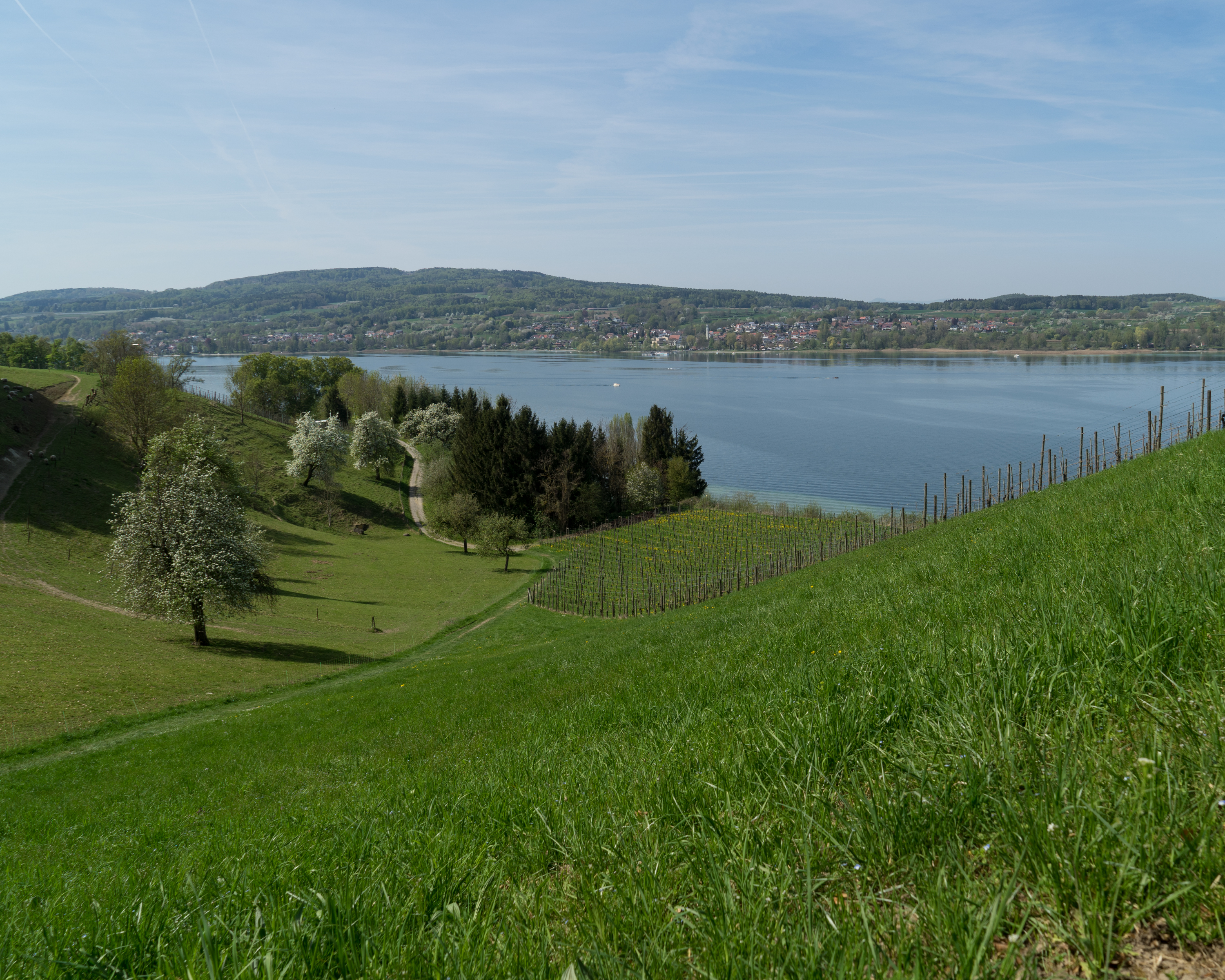 ViaRhenana, Étape 1/10