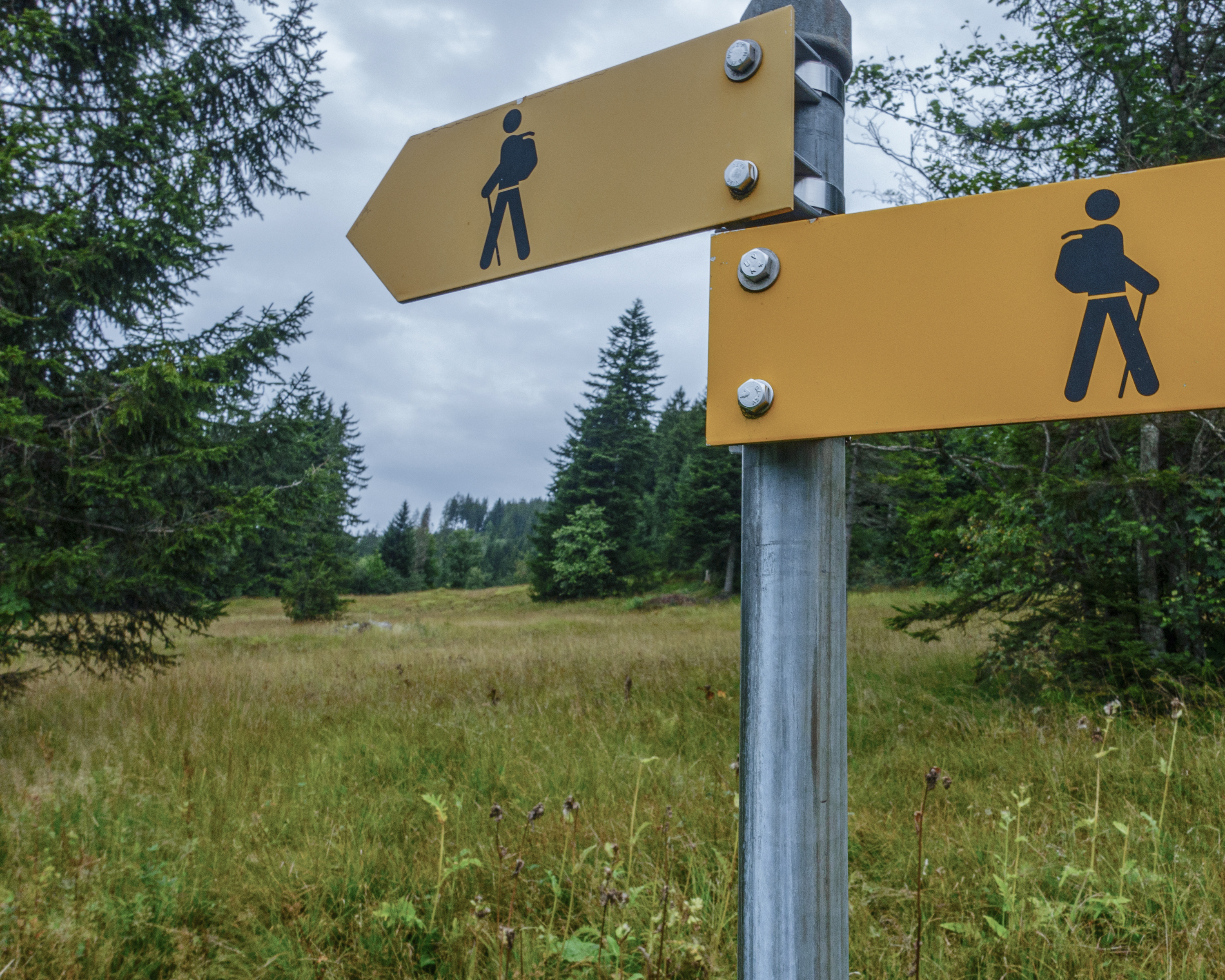 Schwyzer Höhenweg, Etappe 4/5