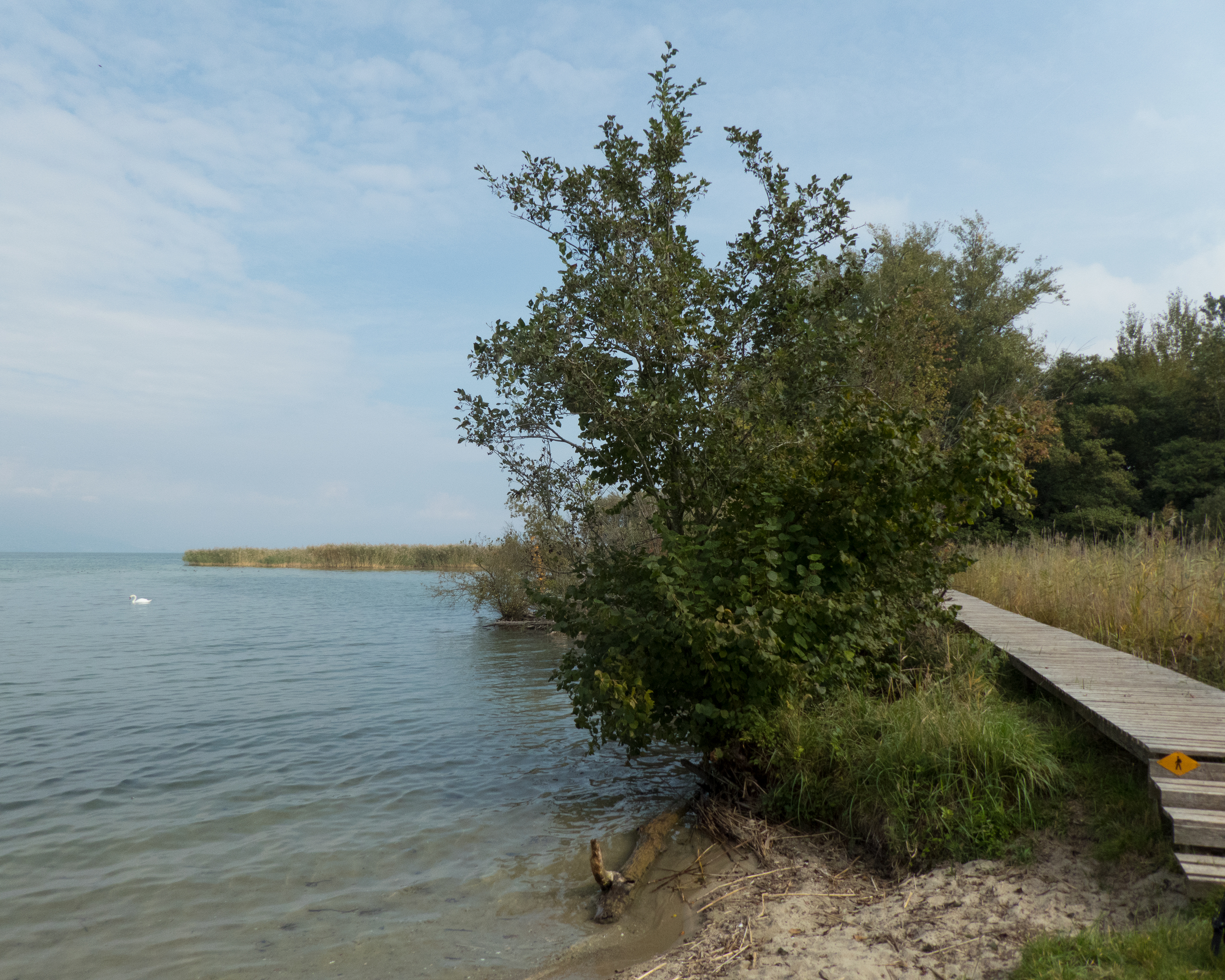 Chemin des Trois-Lacs