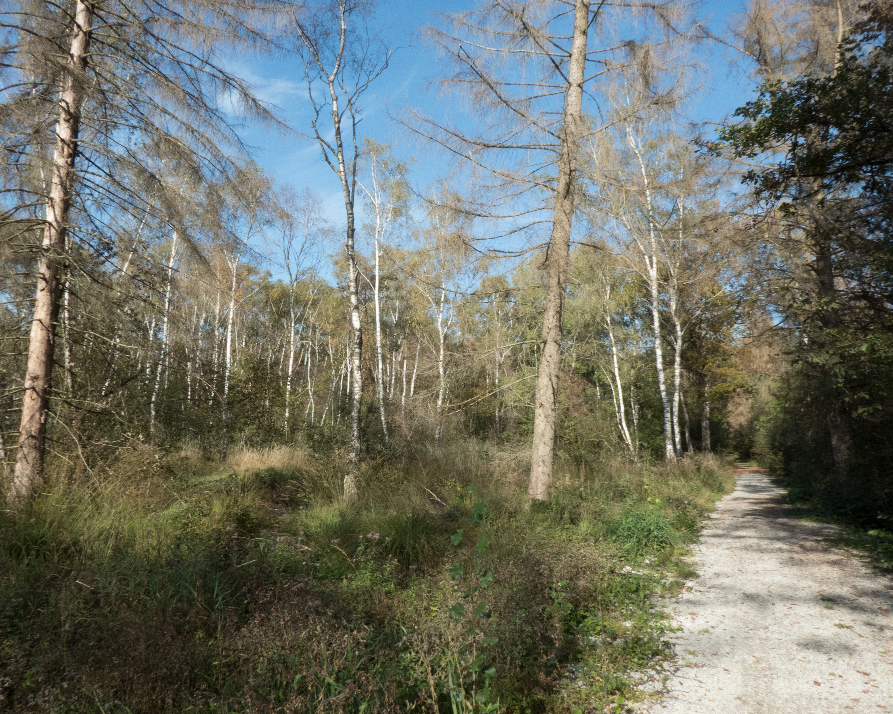 Chemin des Trois-Lacs, Etappe 3/3