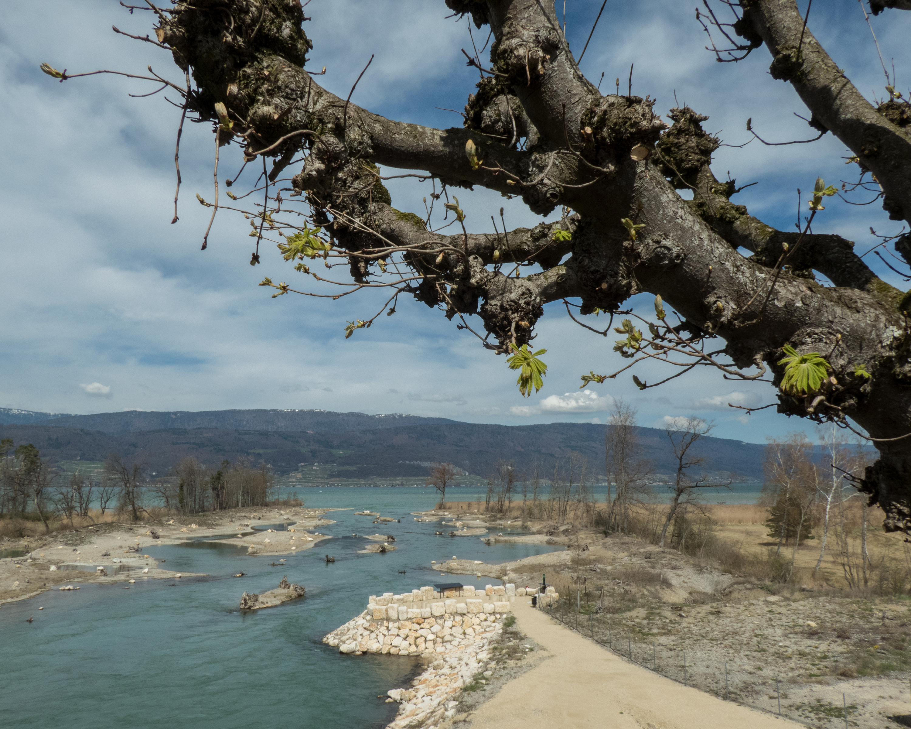 Seeland-Solothurn-Weg