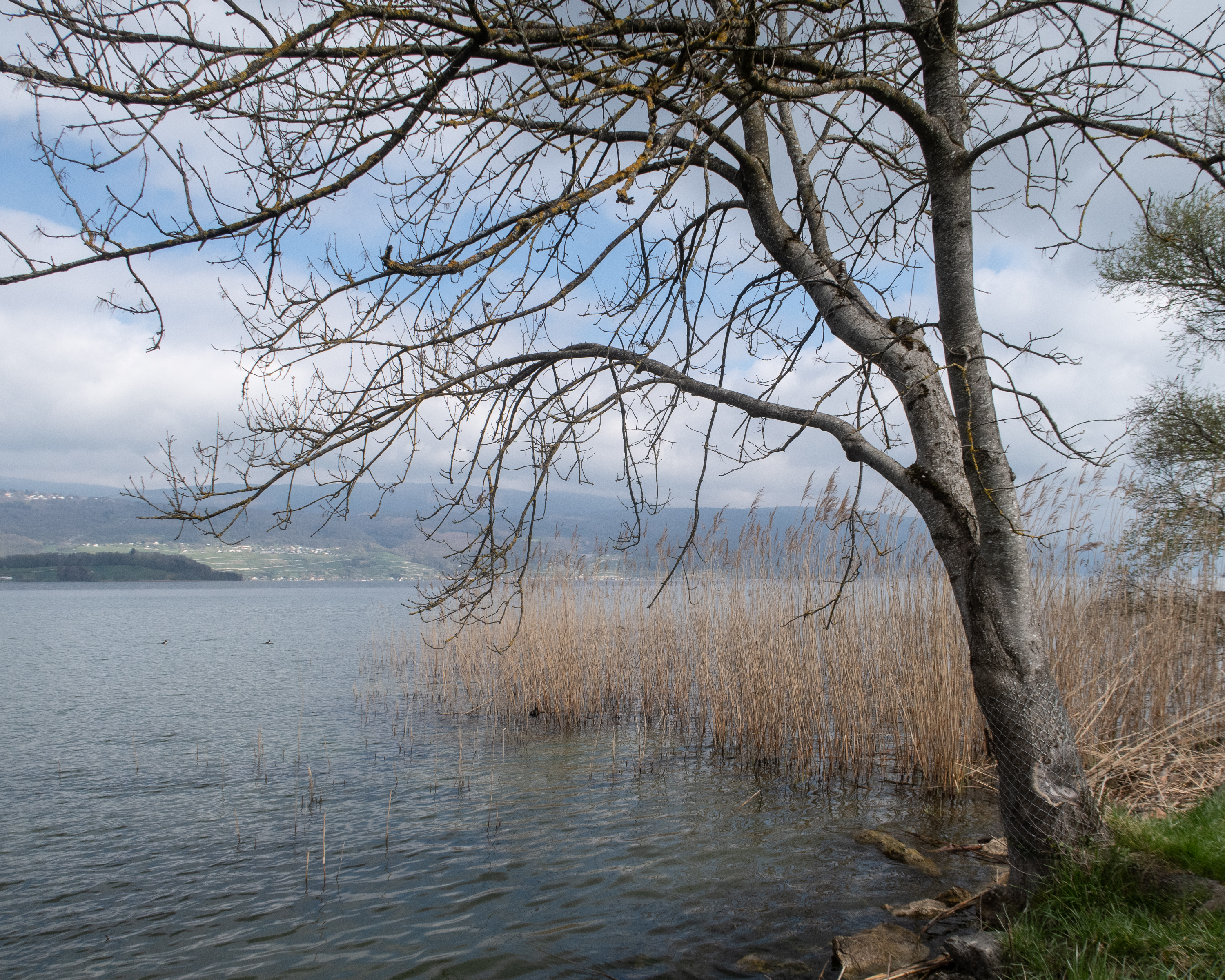 Seeland-Solothurn-Weg, Etappe 1/4