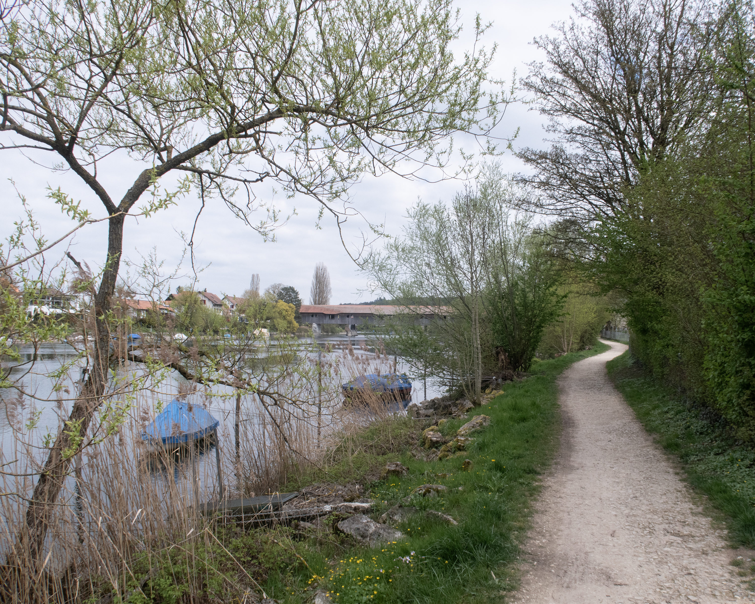 Seeland-Solothurn-Weg, Etappe 2/4