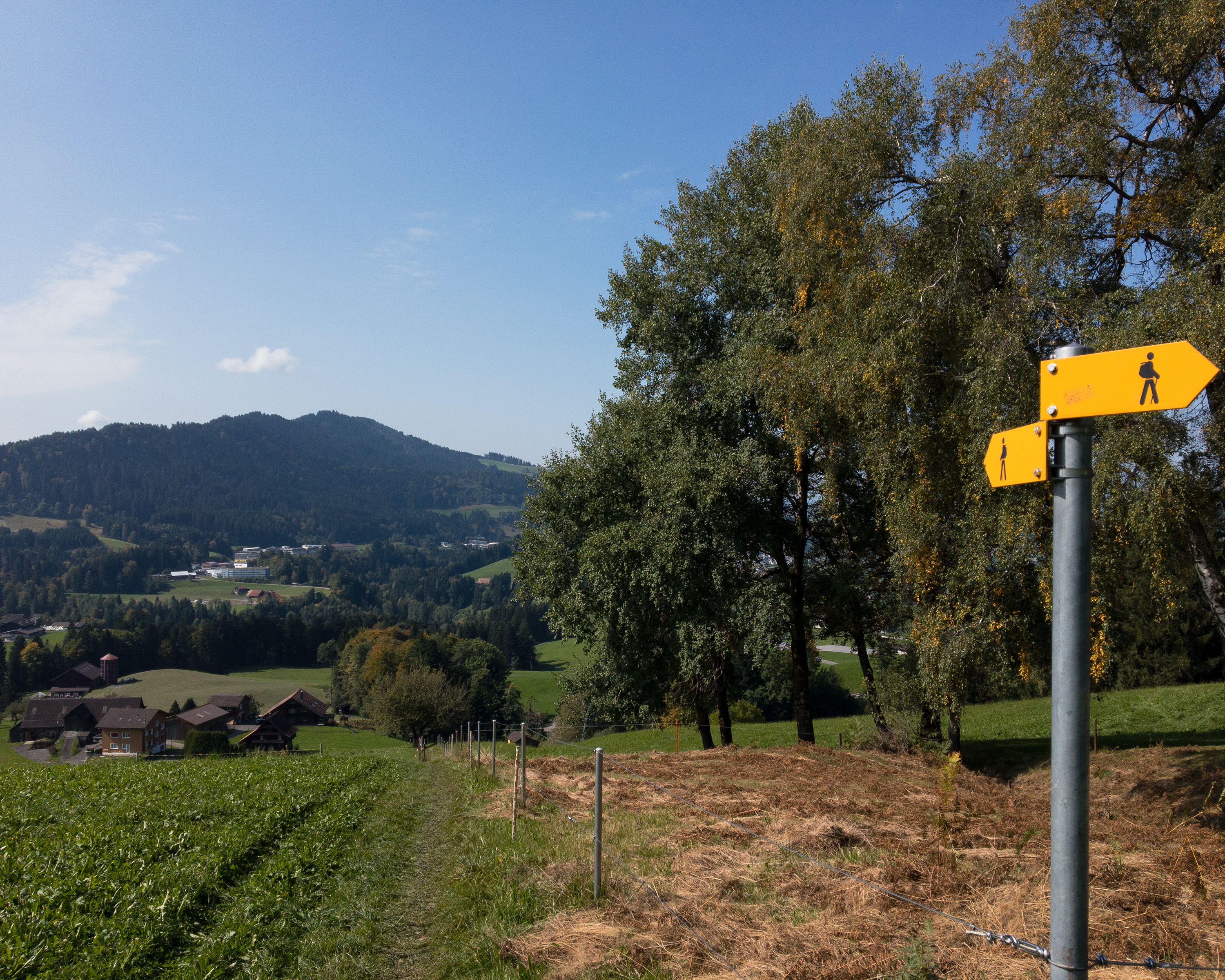 Zürichsee-Rundweg