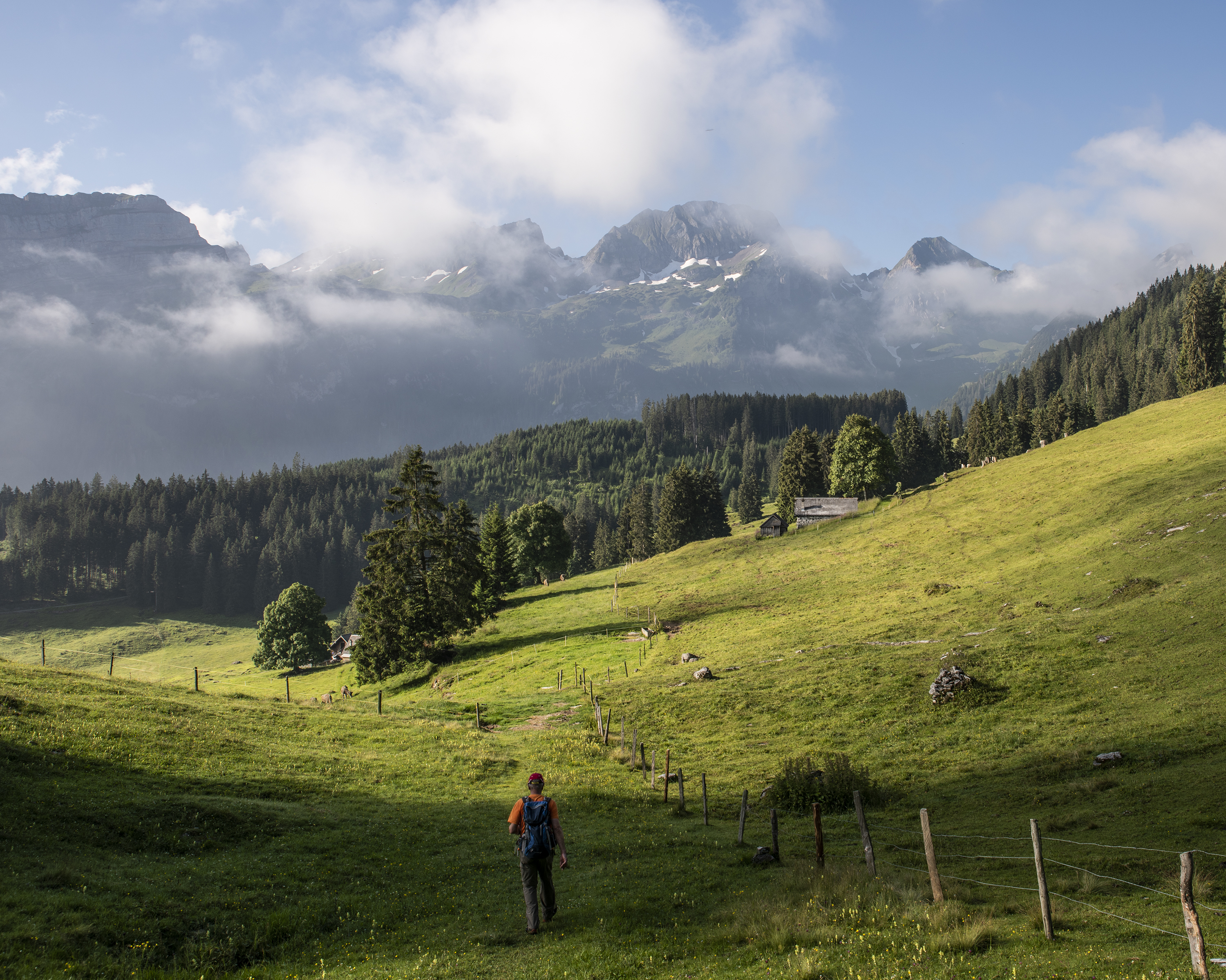 Rheintaler Höhenweg