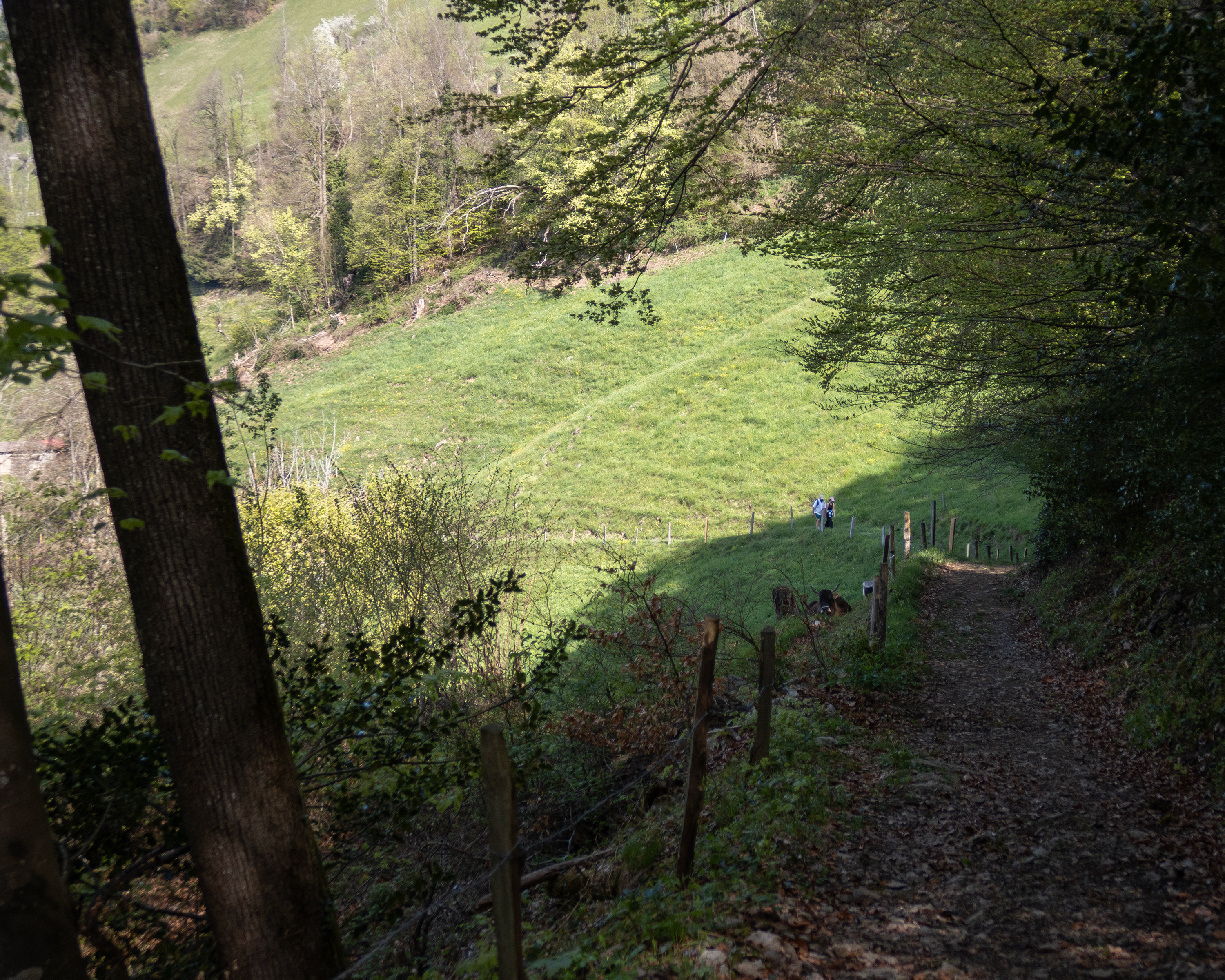 Waldstätterweg, Tappa 1/7