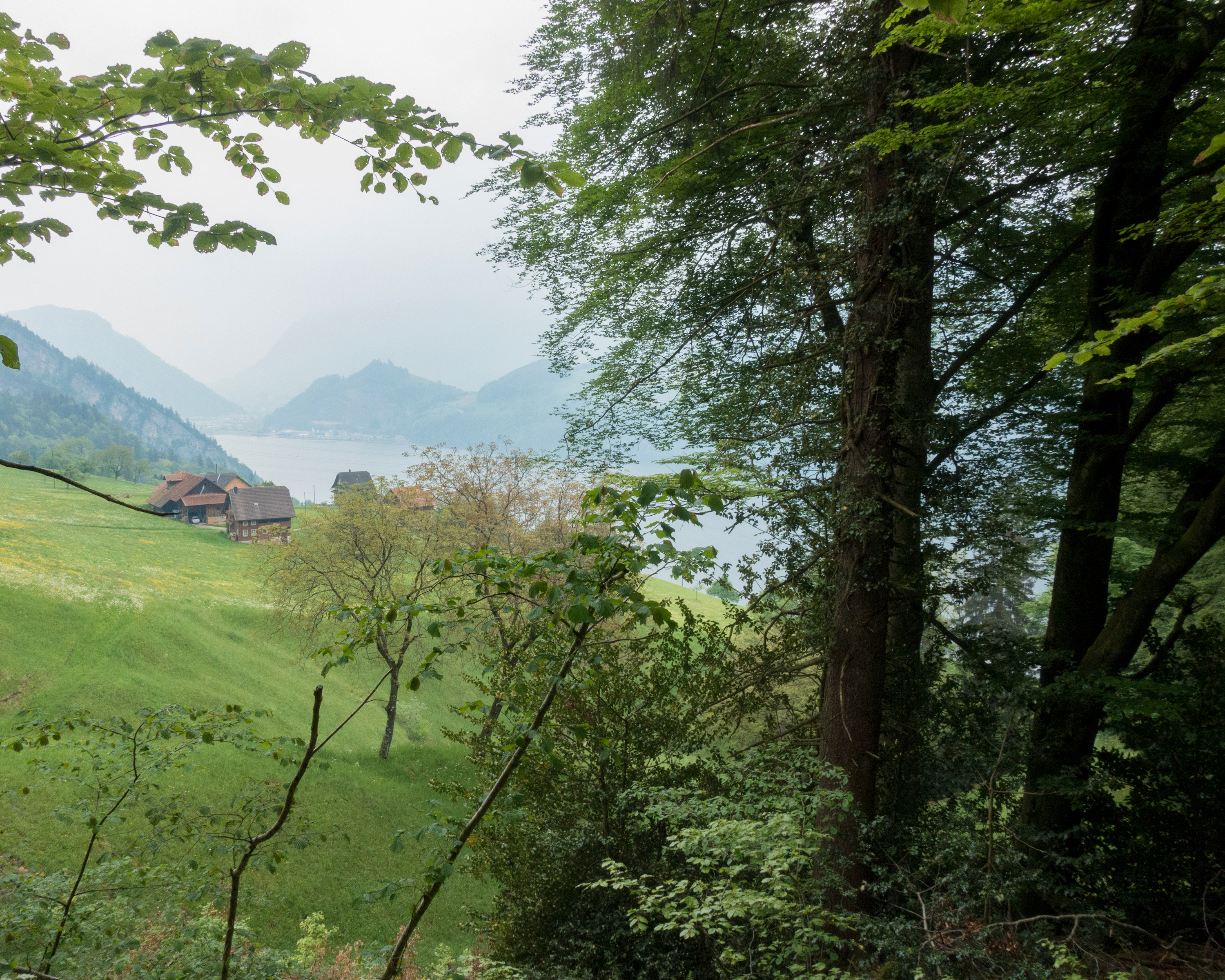 Waldstätterweg, Etappe 4/7