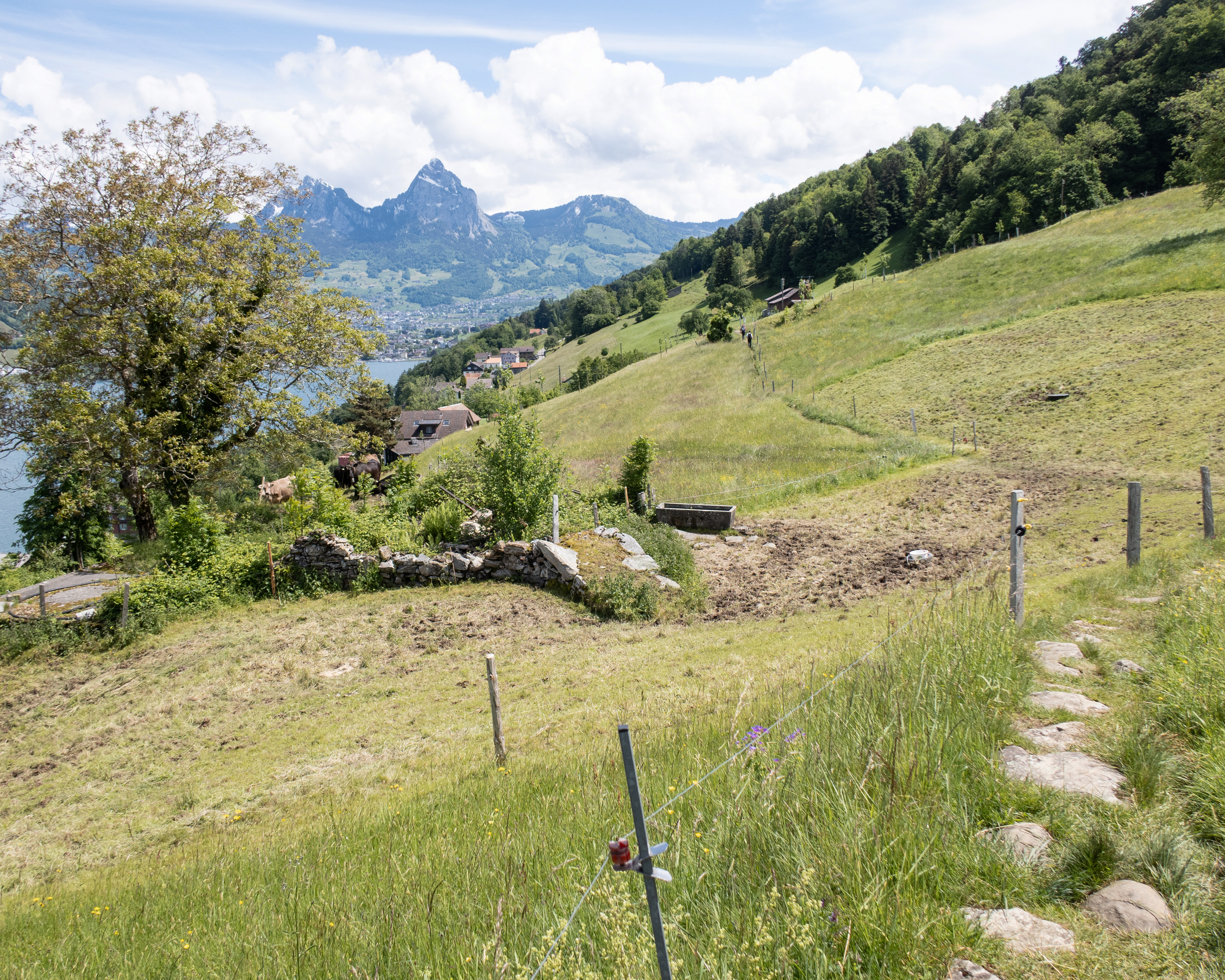 Waldstätterweg, Etappe 7/7