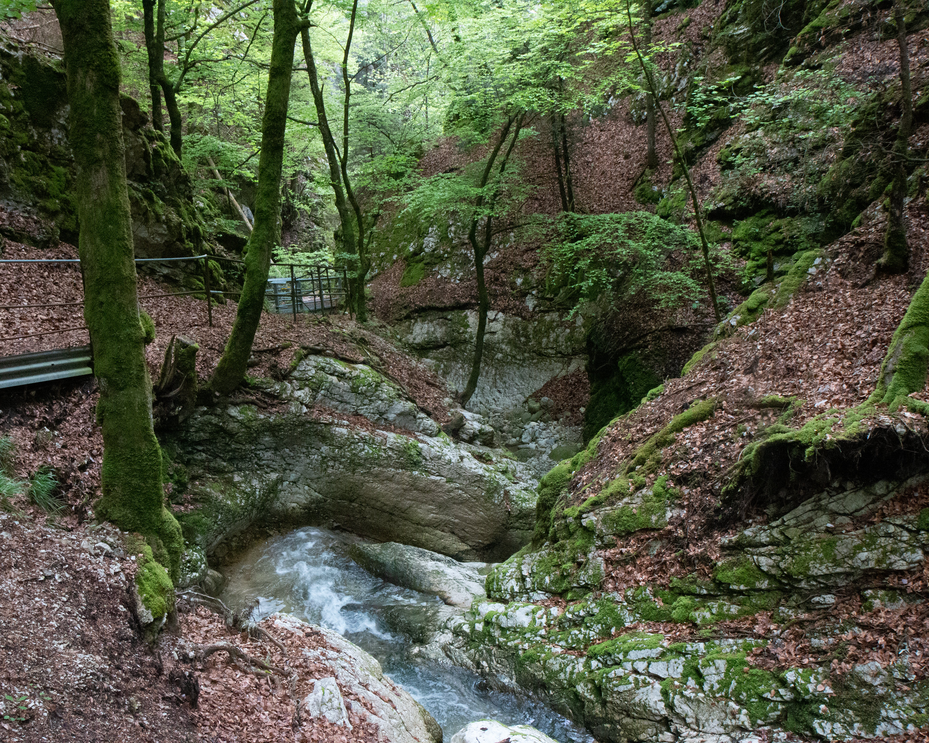 Chemin des Gorges de Covatannaz