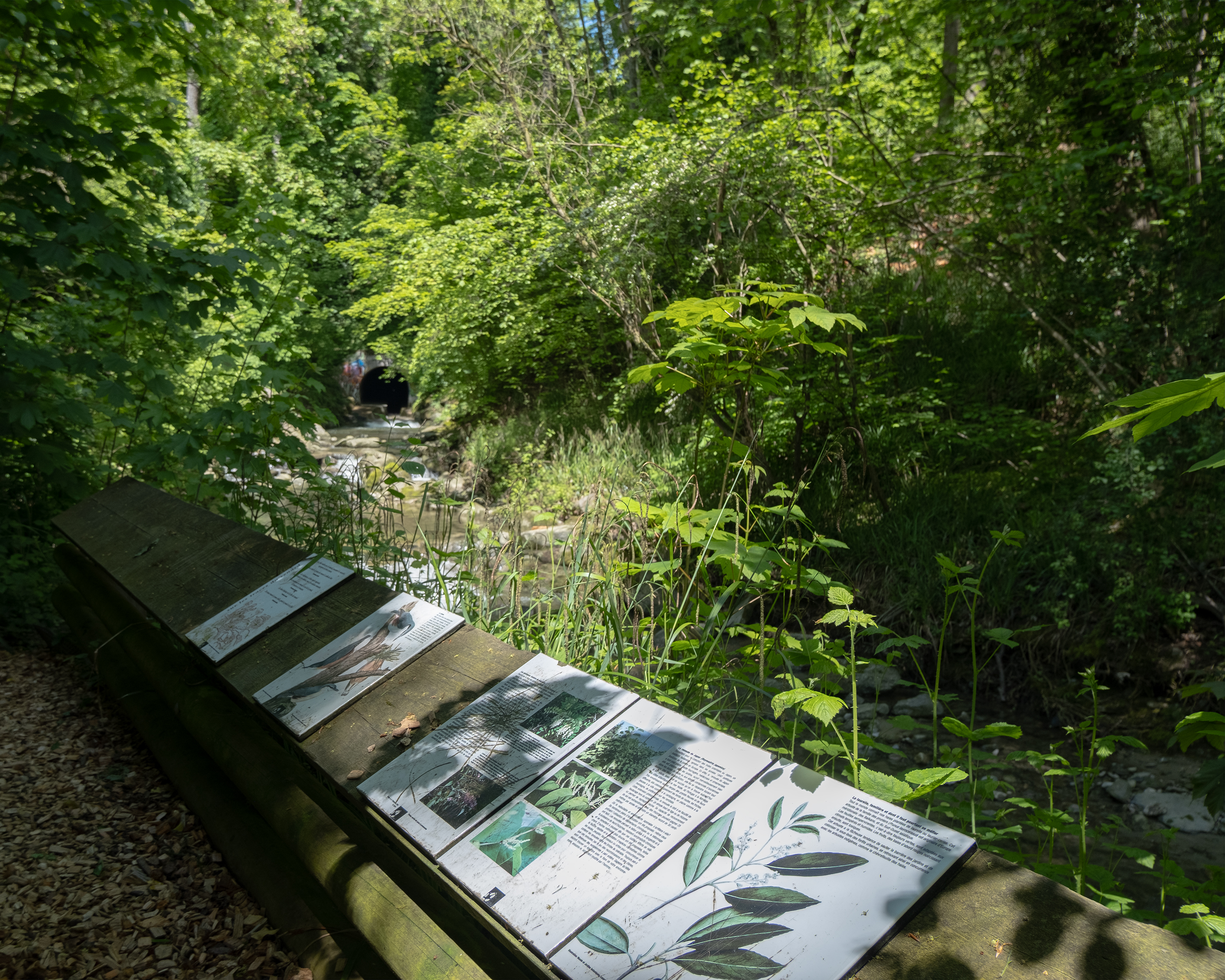 Sentier nature Grand Lausanne