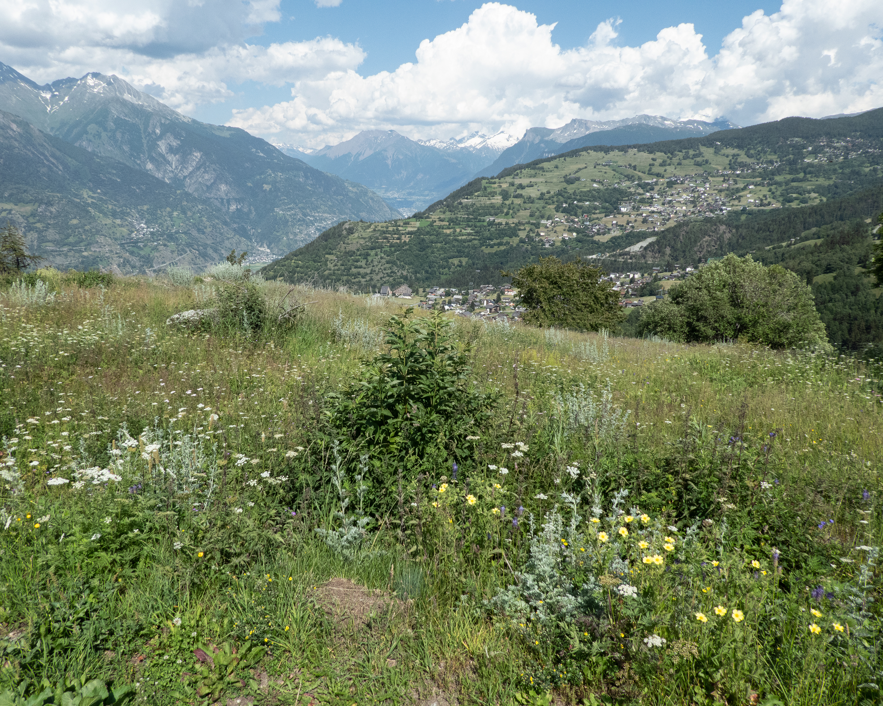 Suonenweg Brandalp–Eischoll