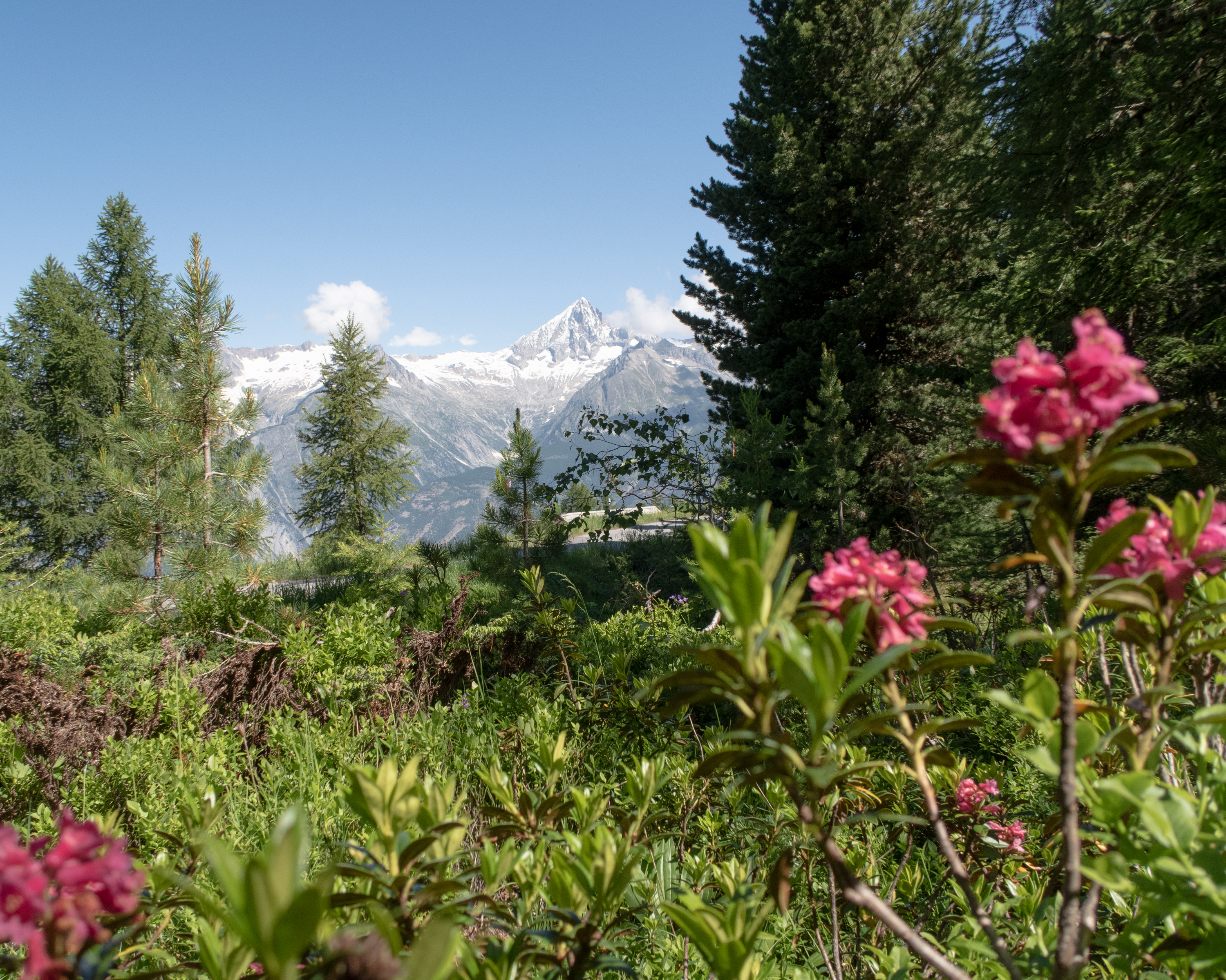 Moosalp Panoramaweg