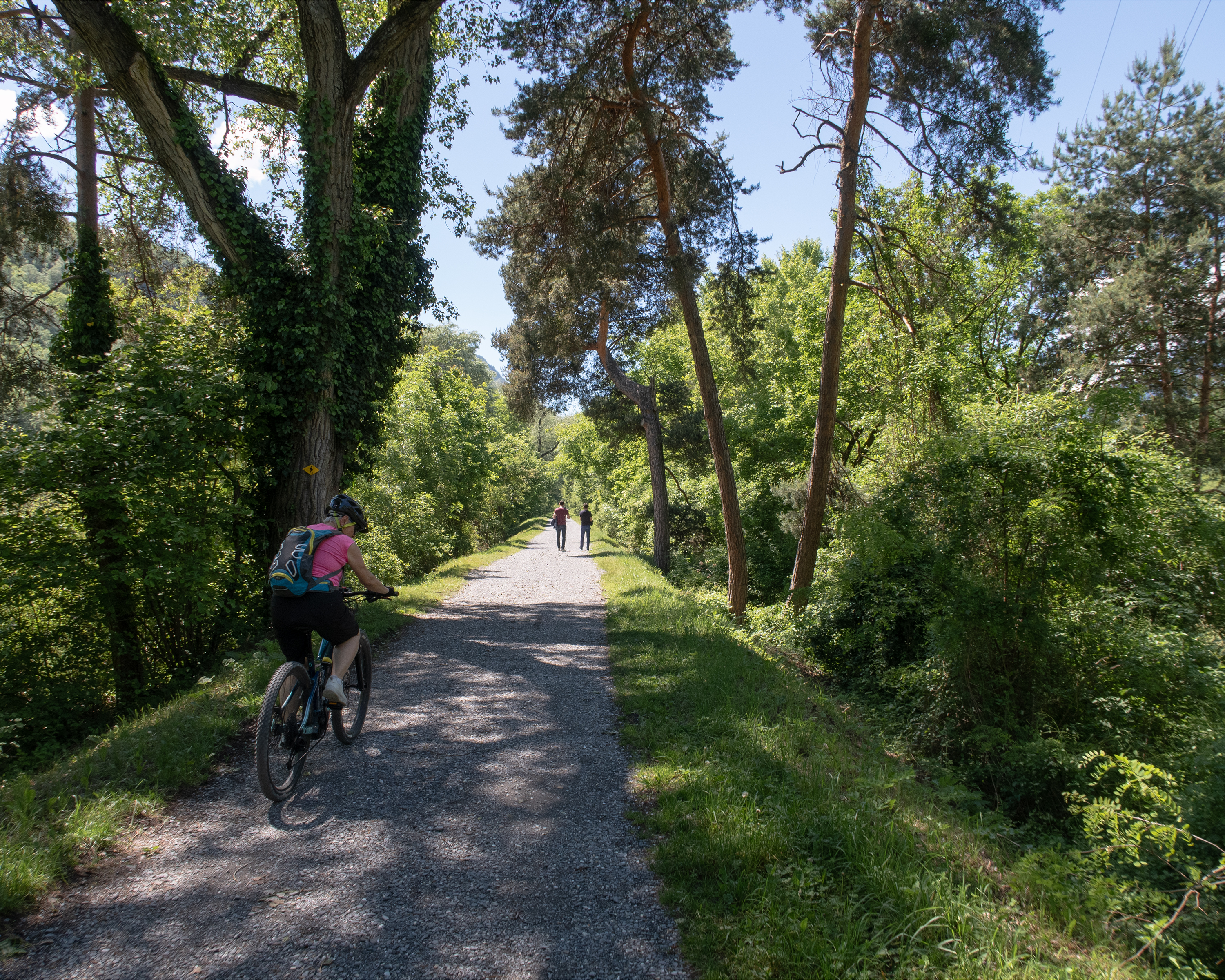 Chemin des berges du Rhône