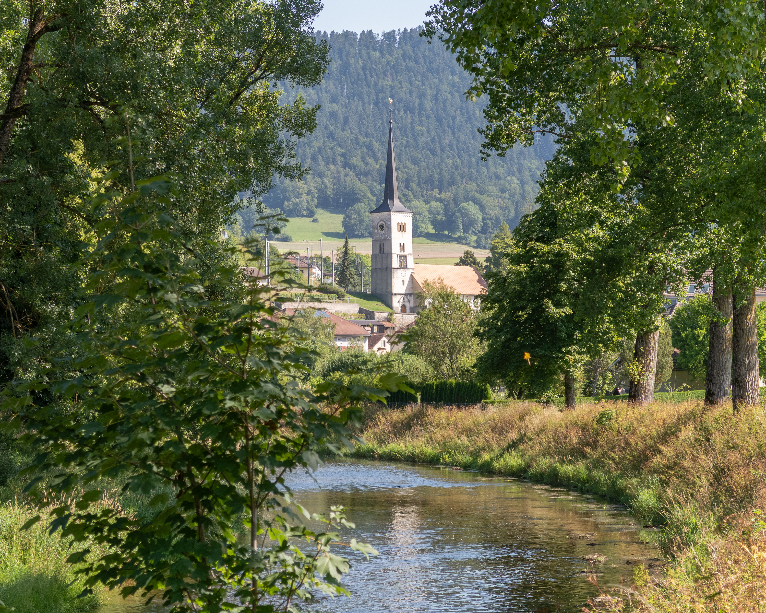 Chemin de l'Areuse