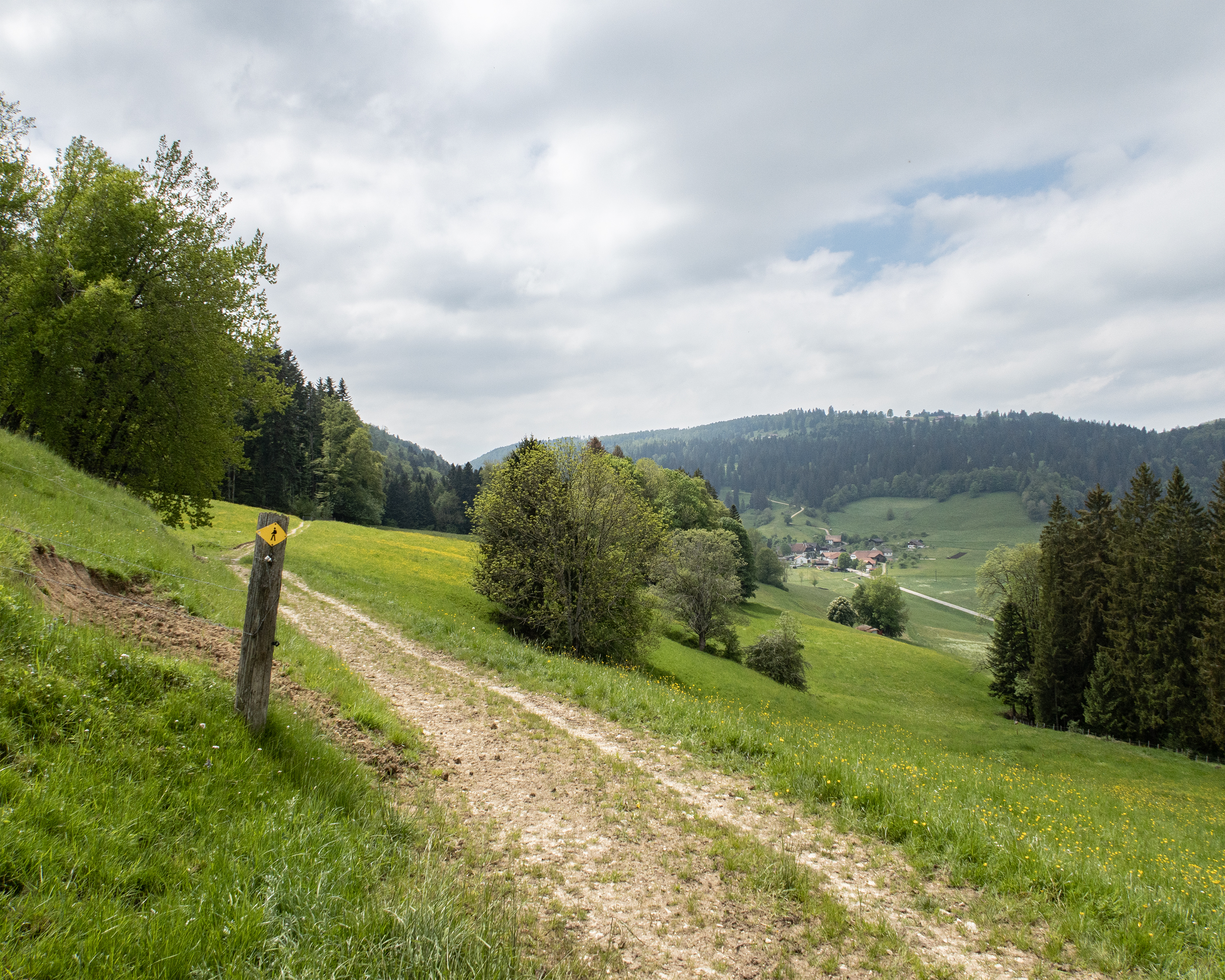 Chemin de Bellelay