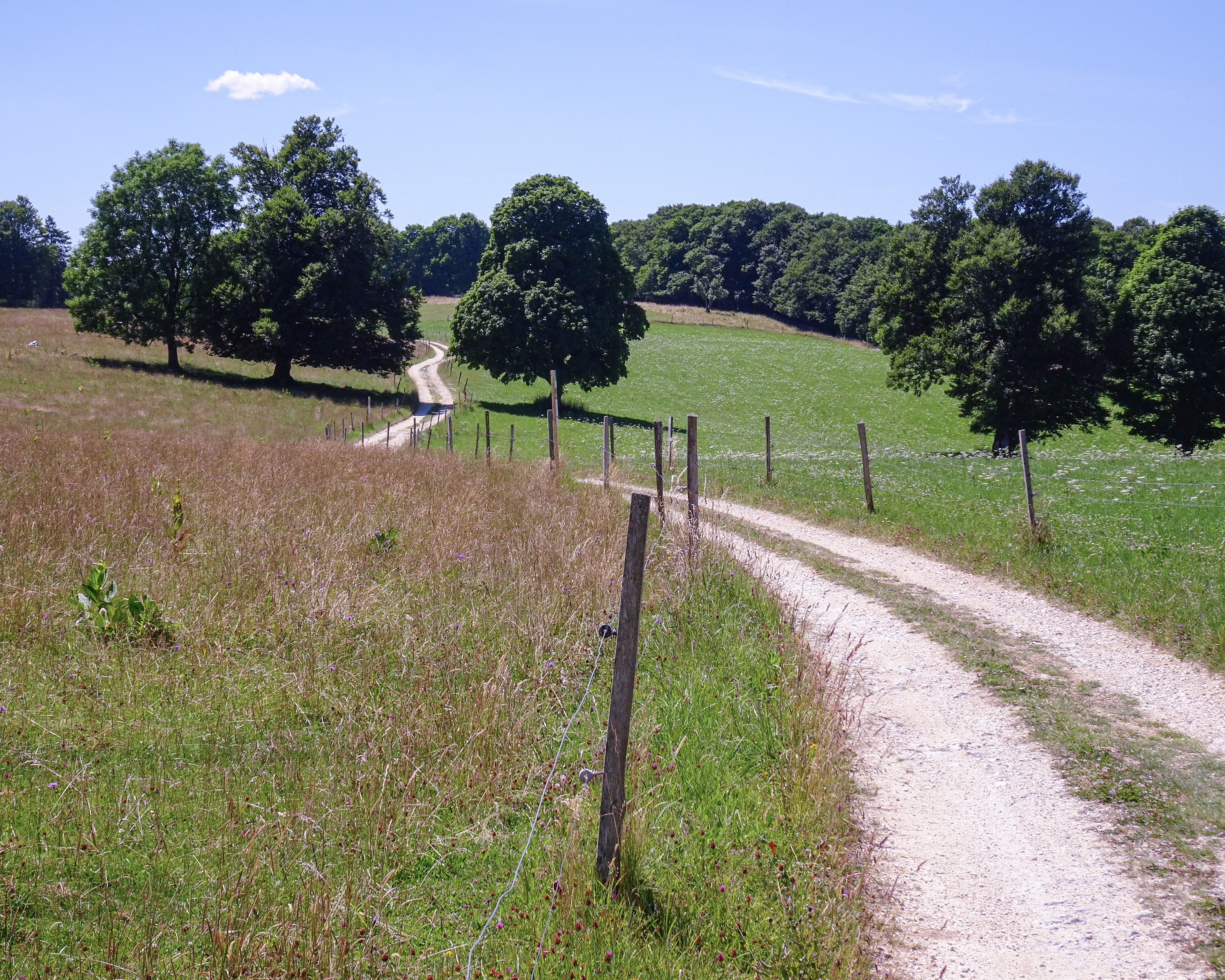 Chemin de Montoz