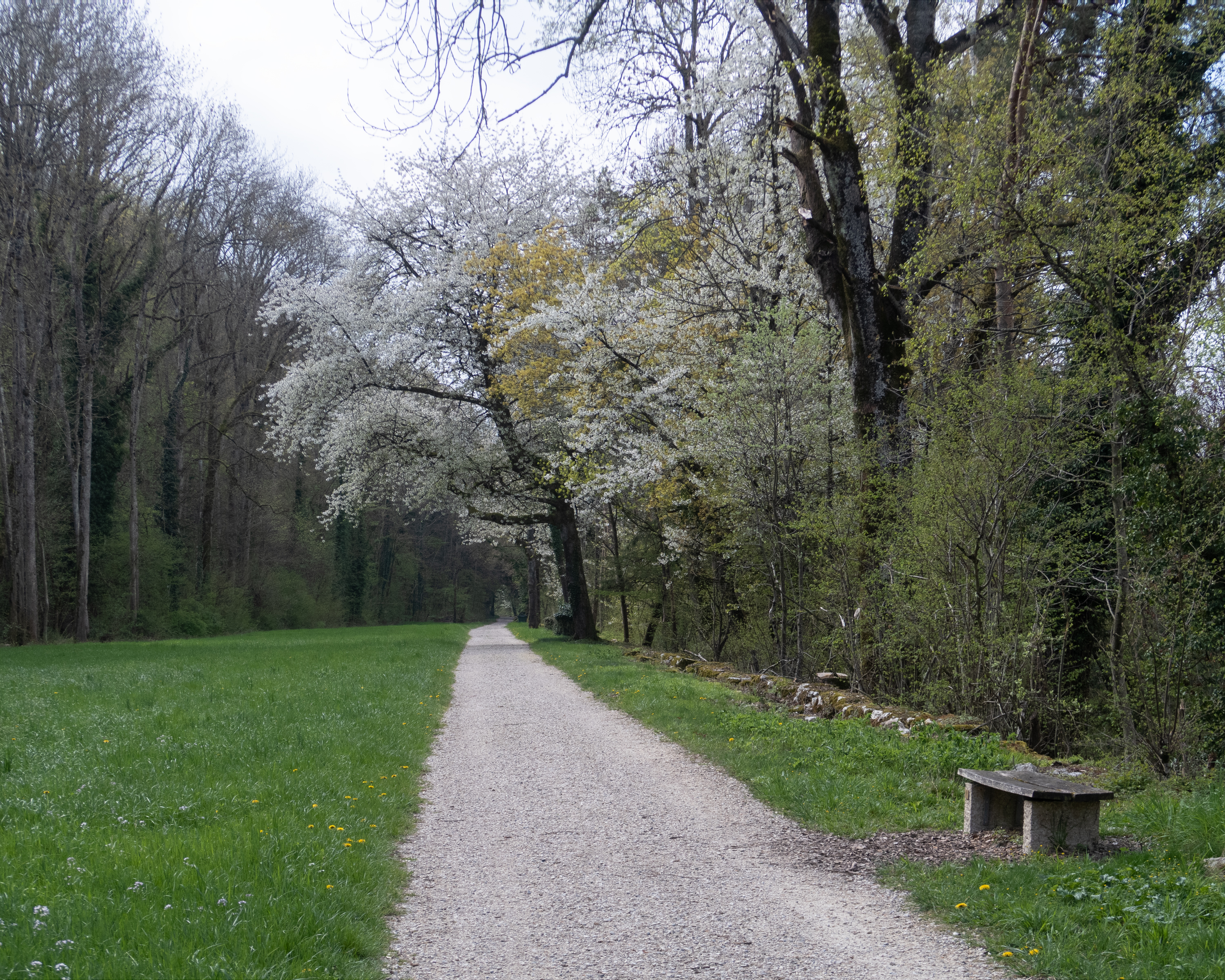 St. Petersinsel-Weg