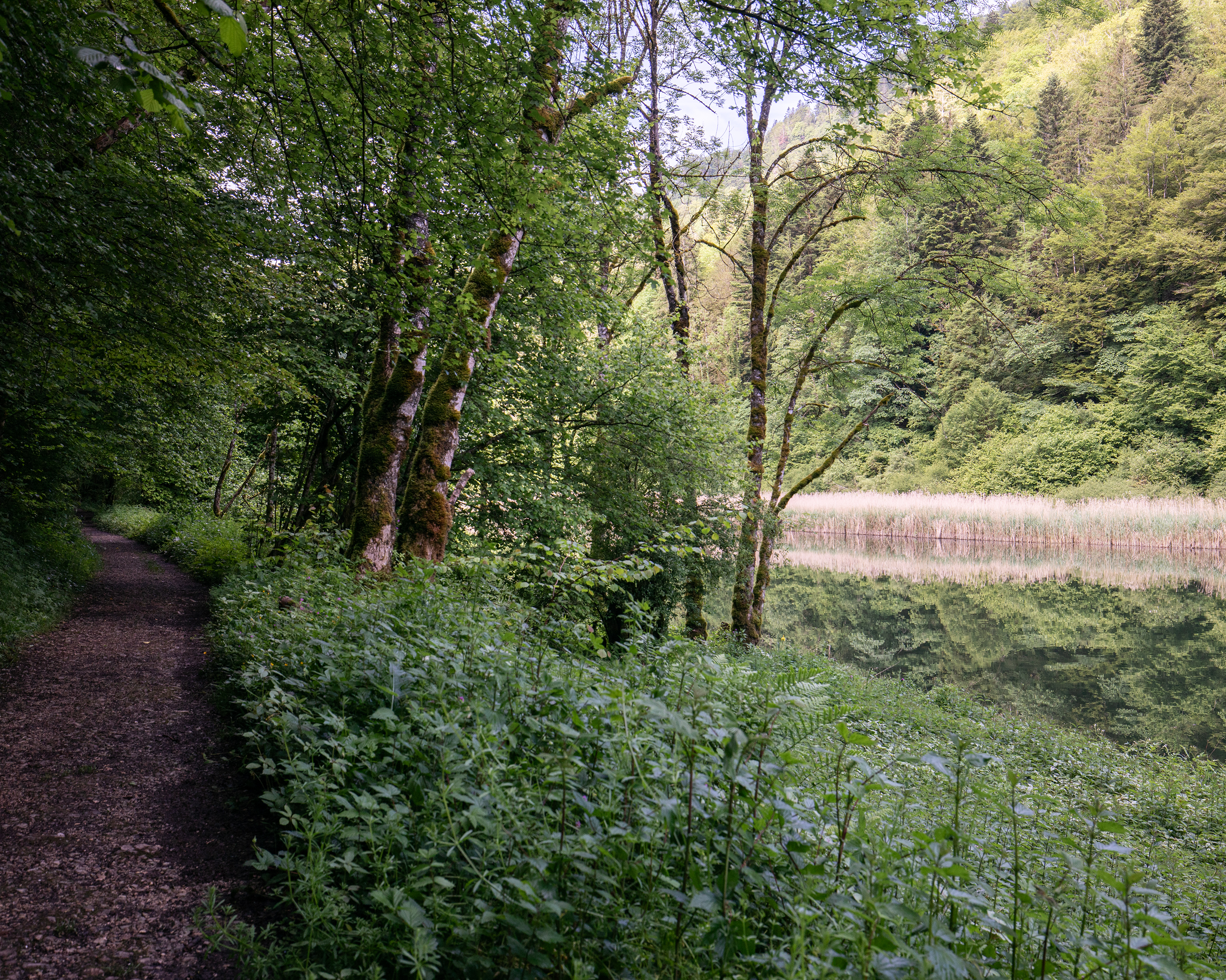 Des Franches-Montagnes au Doubs