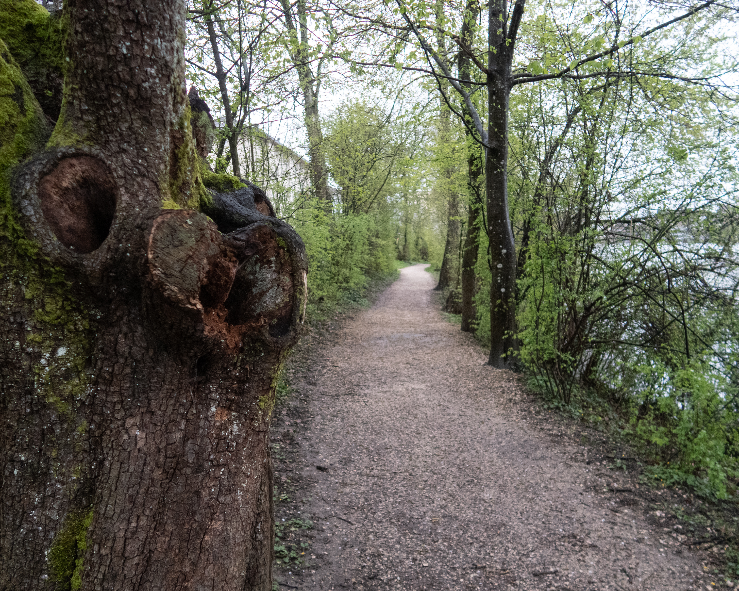 Solothurner Uferweg