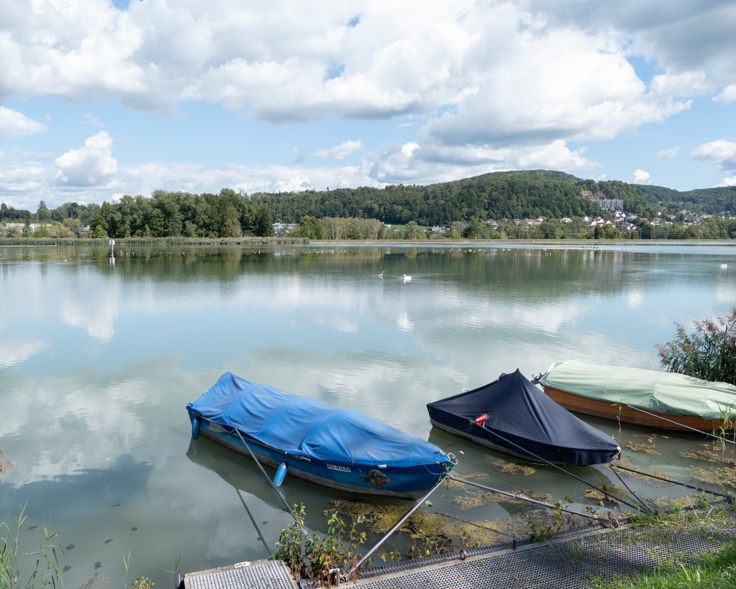 Klingnauer Uferweg