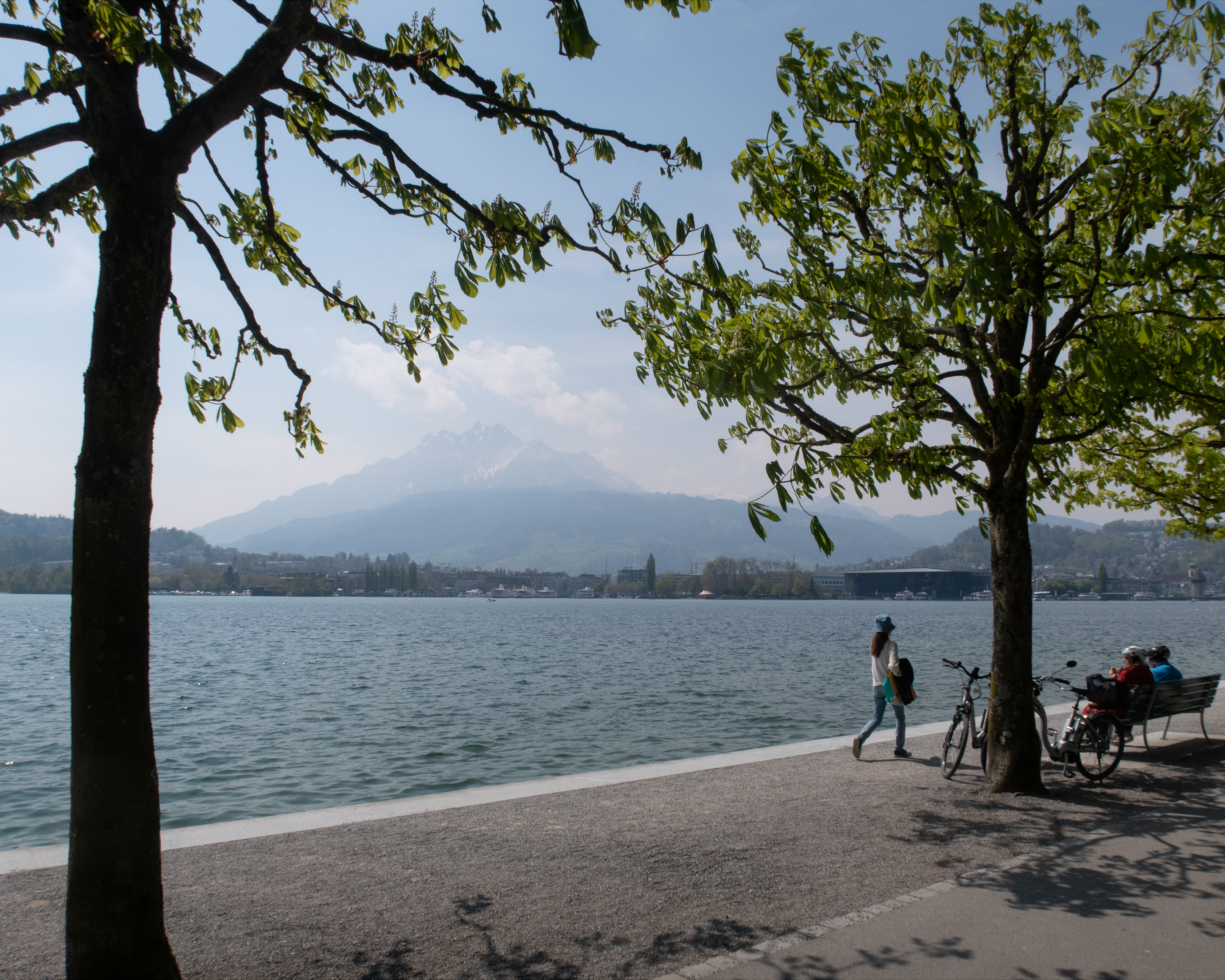 Luzerner Seeuferweg