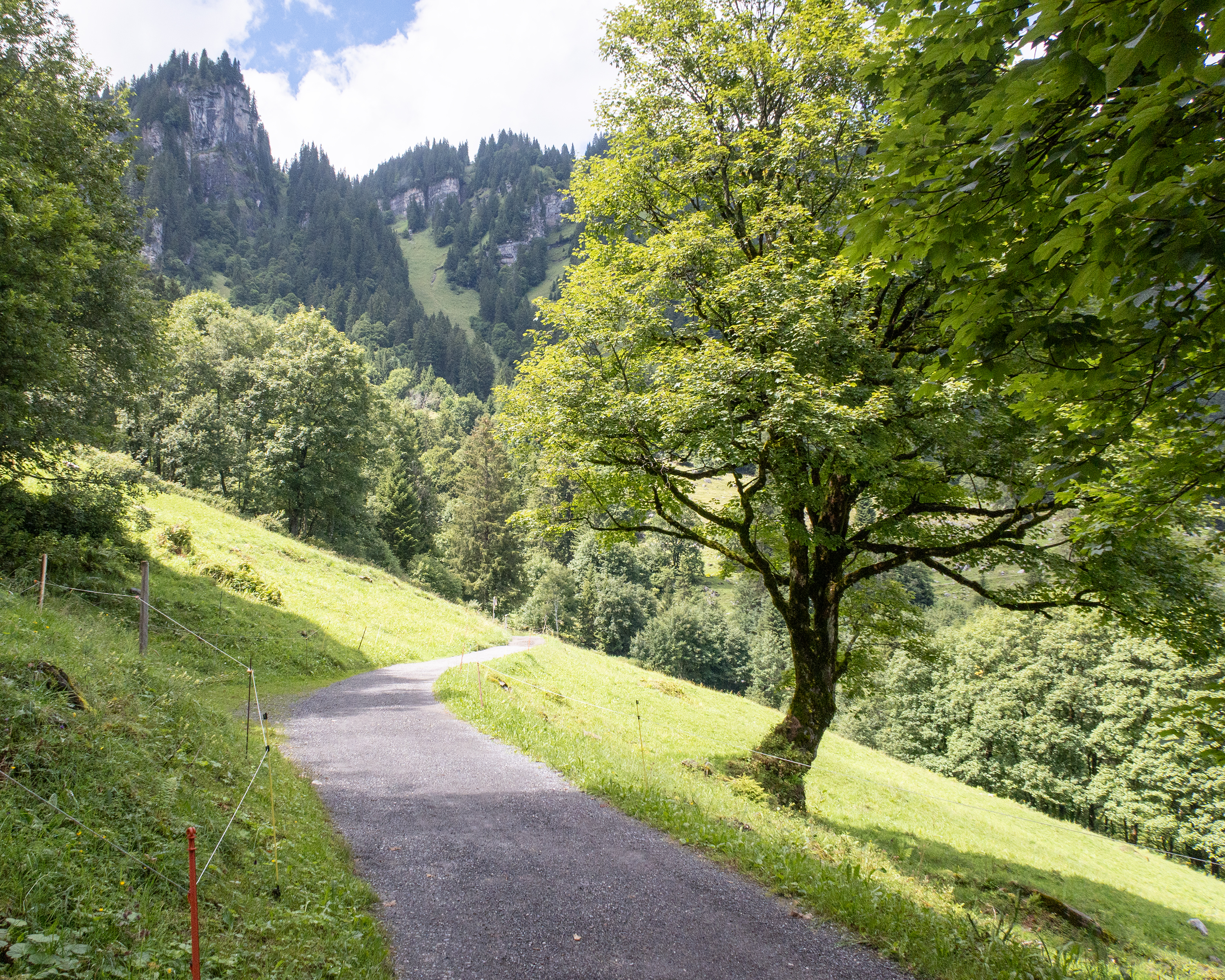 Nussbüel-Weg