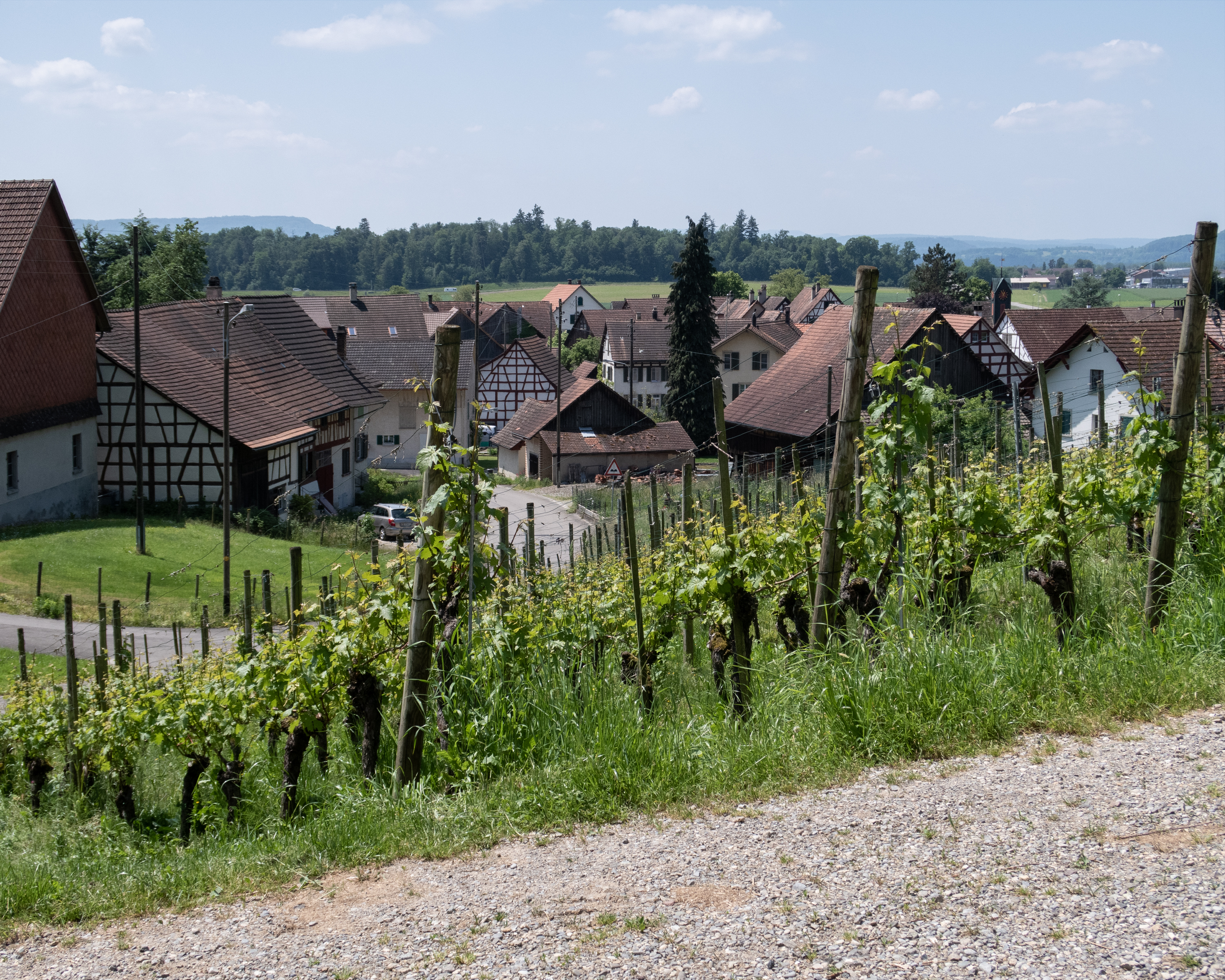 Zürcher Weinland Weg