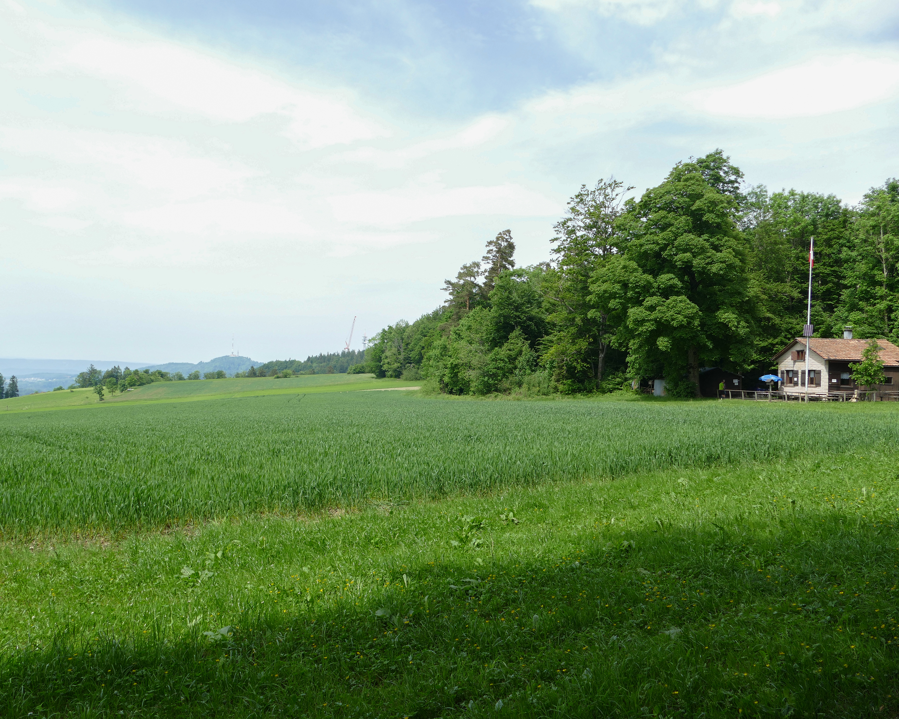 Albisgrat-Höhenweg