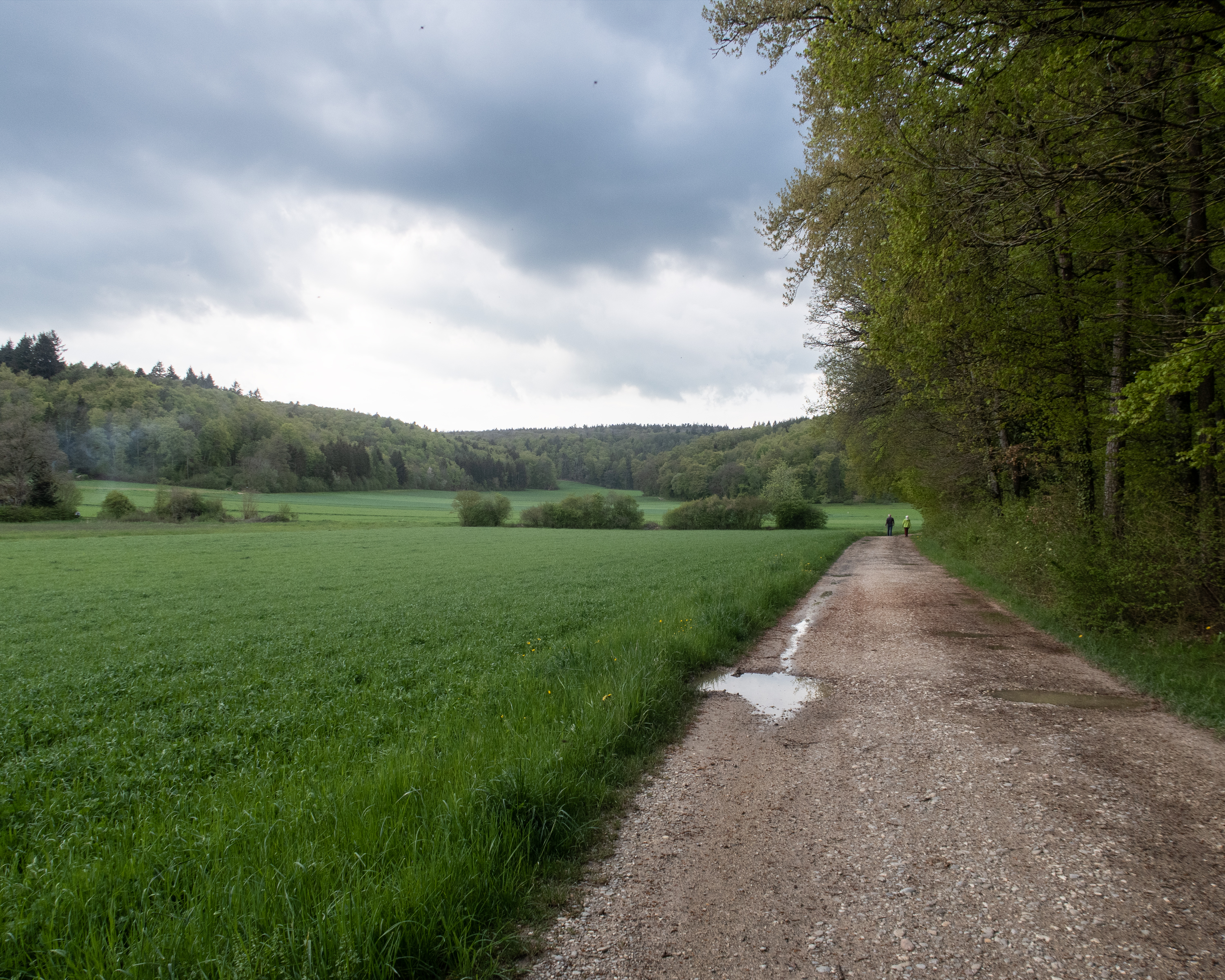 Eschheimertalweg