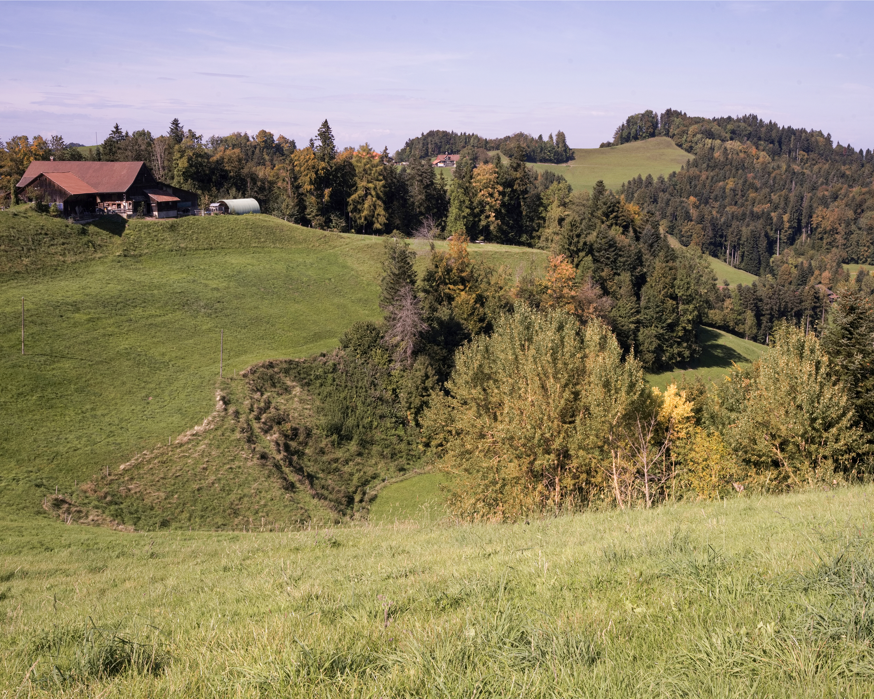 Thurgauer Tannzapfenweg