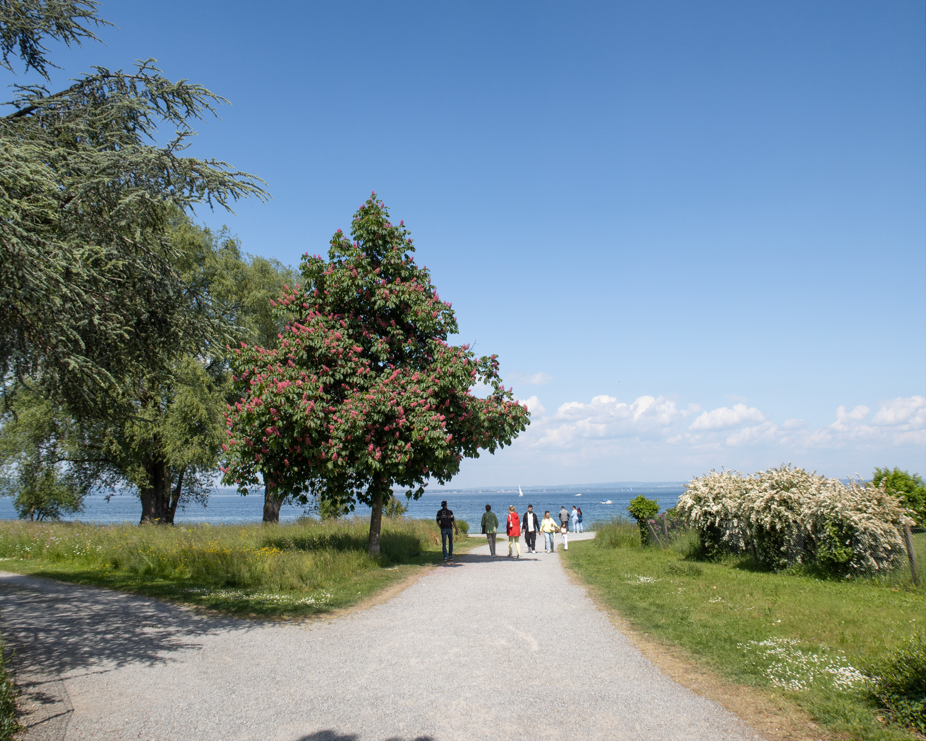 Romanshorn-Rundweg
