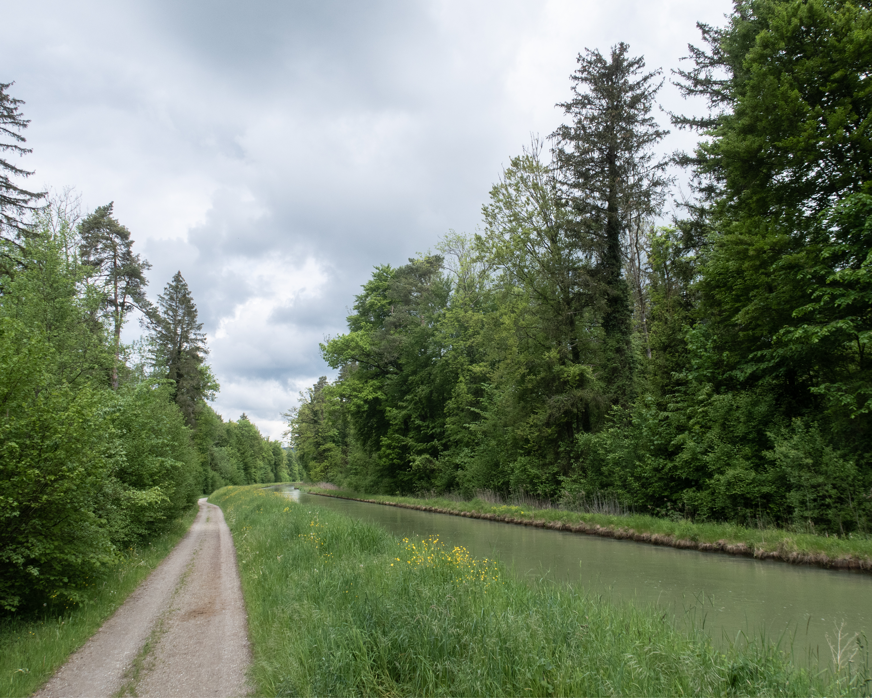 Thur-Uferweg