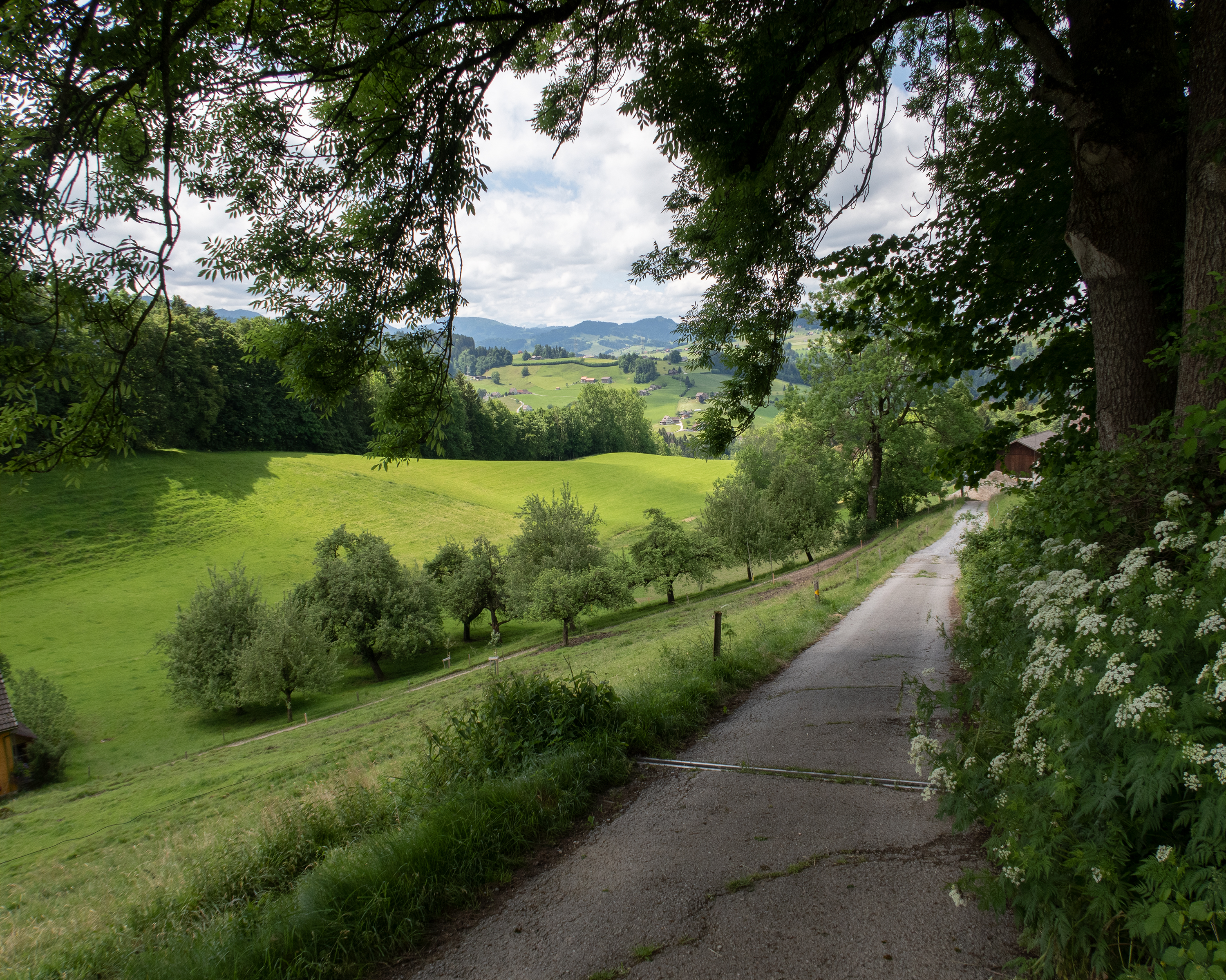 St. Galler Panoramaweg