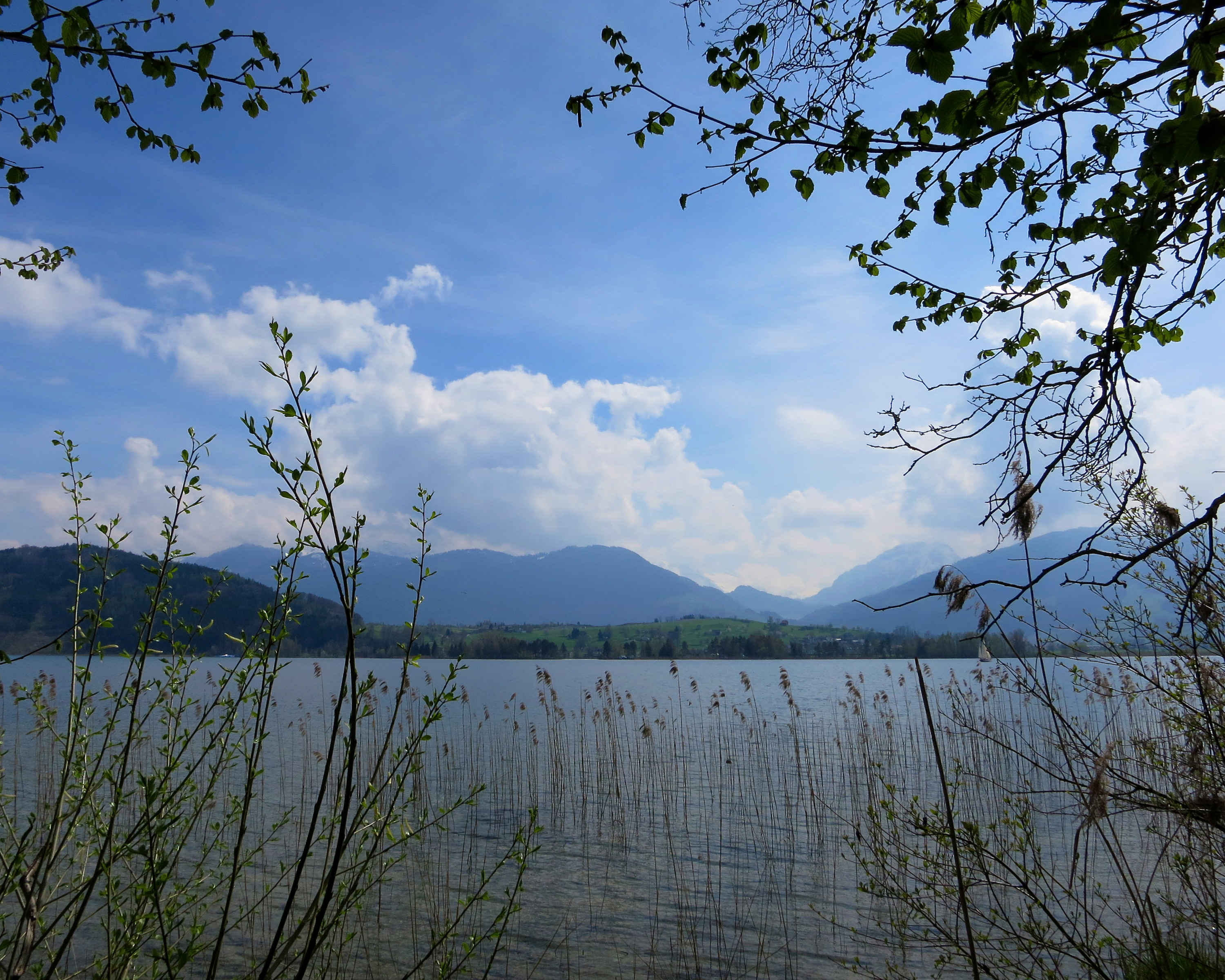 Obersee-Uferweg