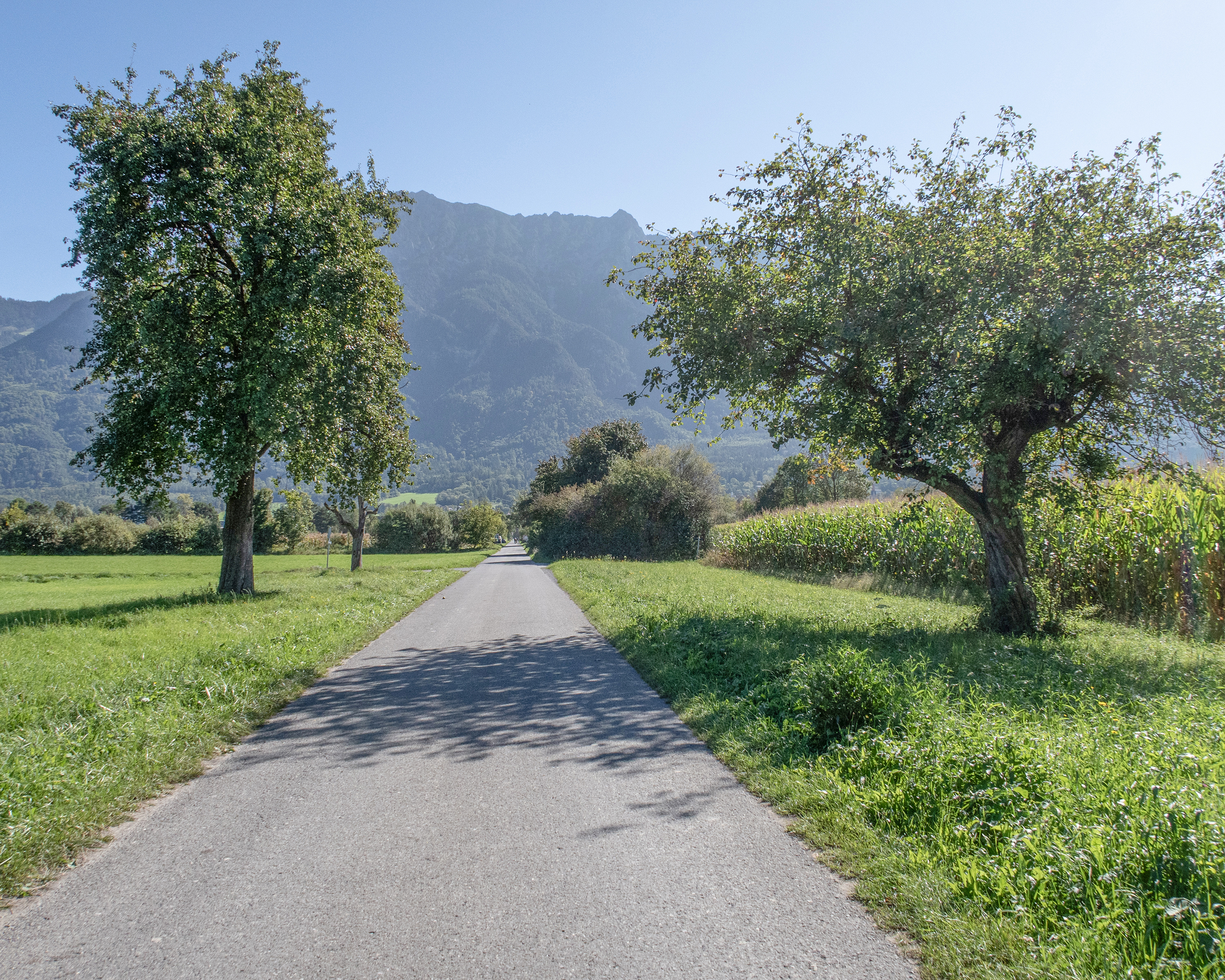 Bendern-Schaan-Weg