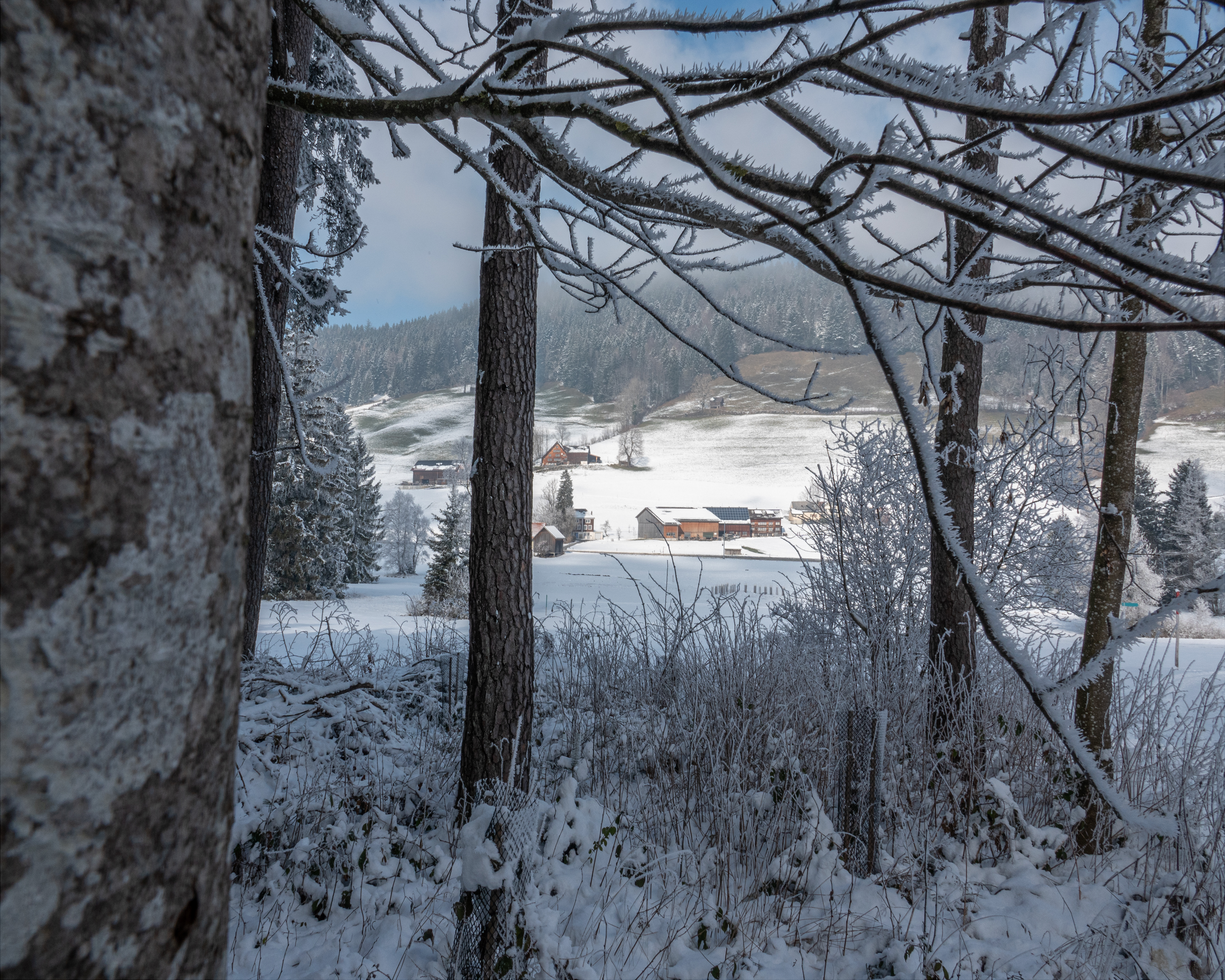 Winterwanderweg Gais
