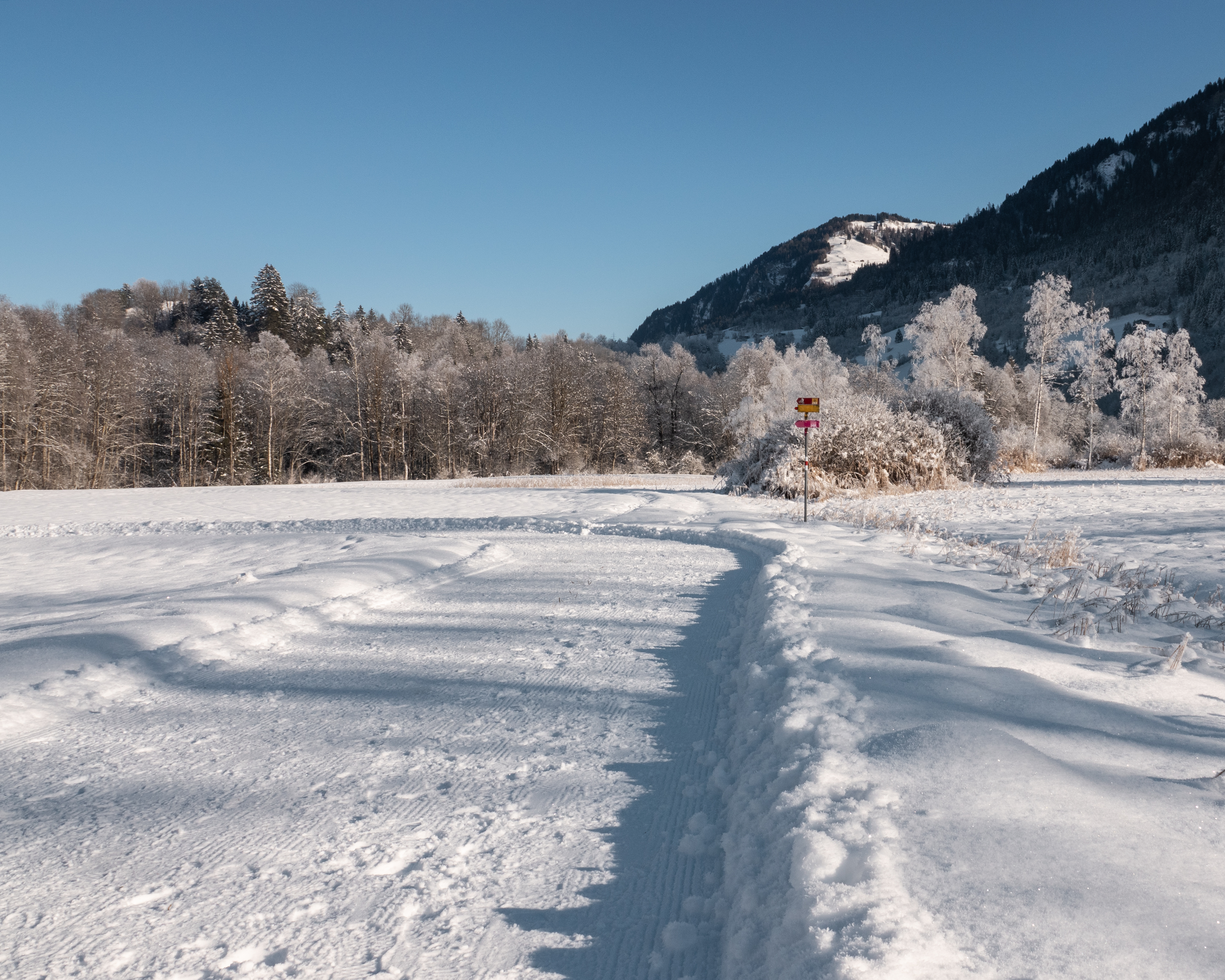 Auen-Rundweg Ilanz-Castrisch