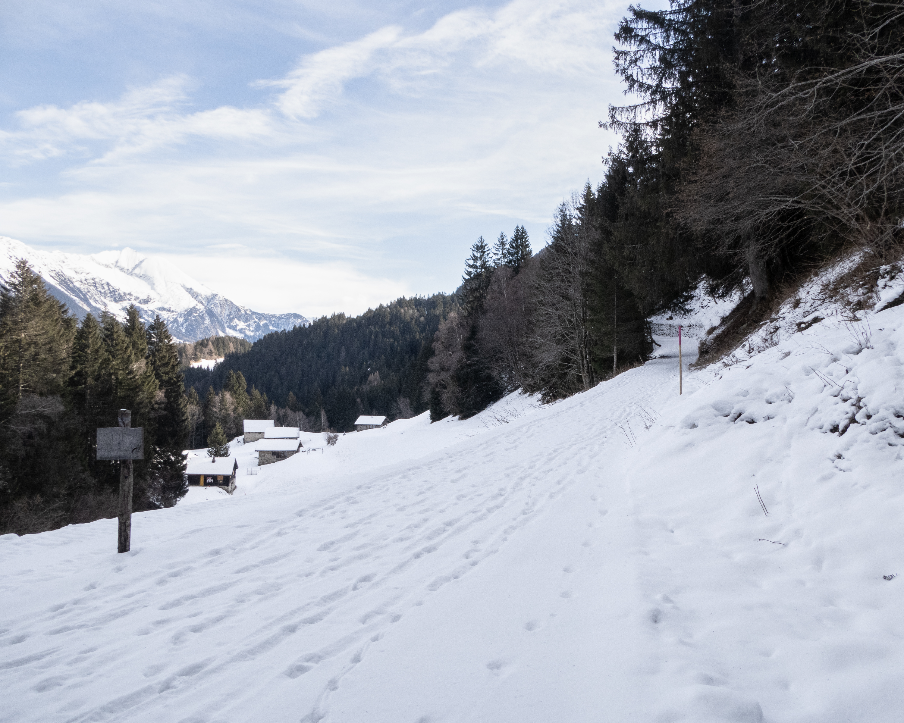 Sentiero Nante–Alpe Nuova