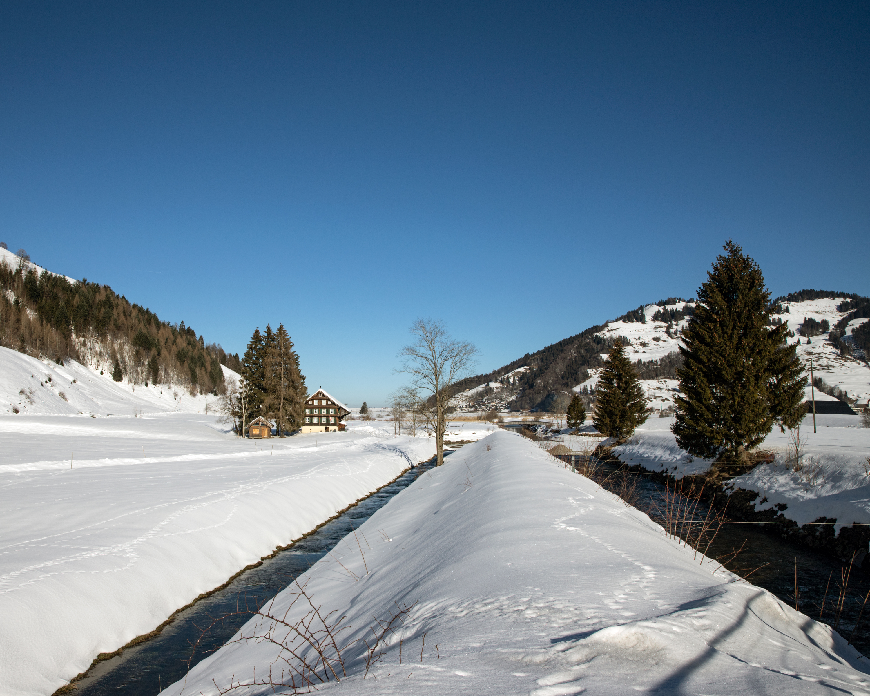 Schützenried-Rundweg
