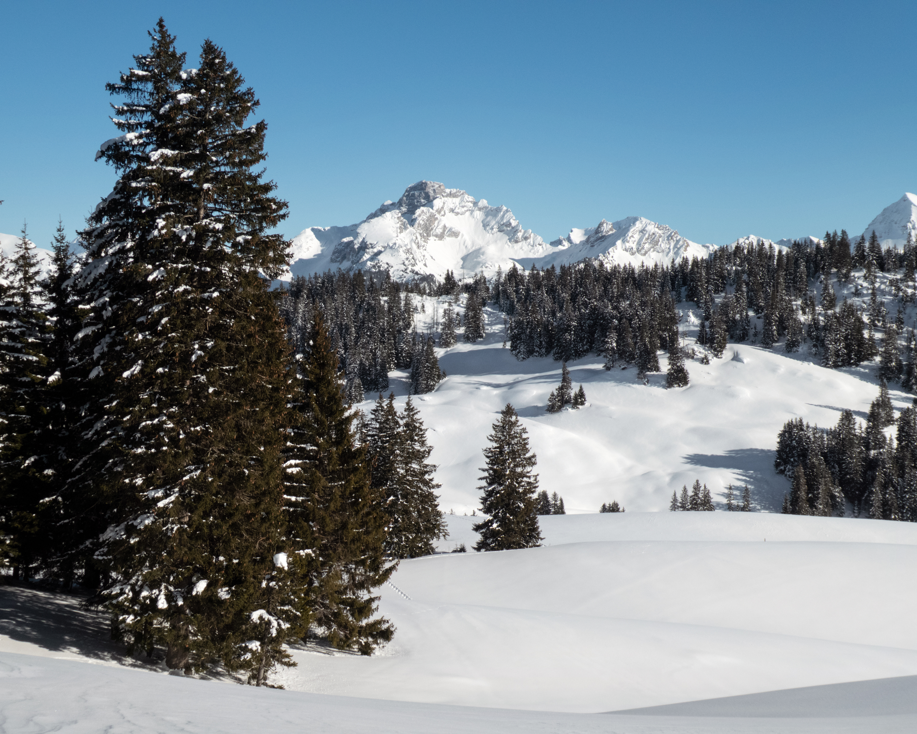 Sparenmoos-Winterwanderweg
