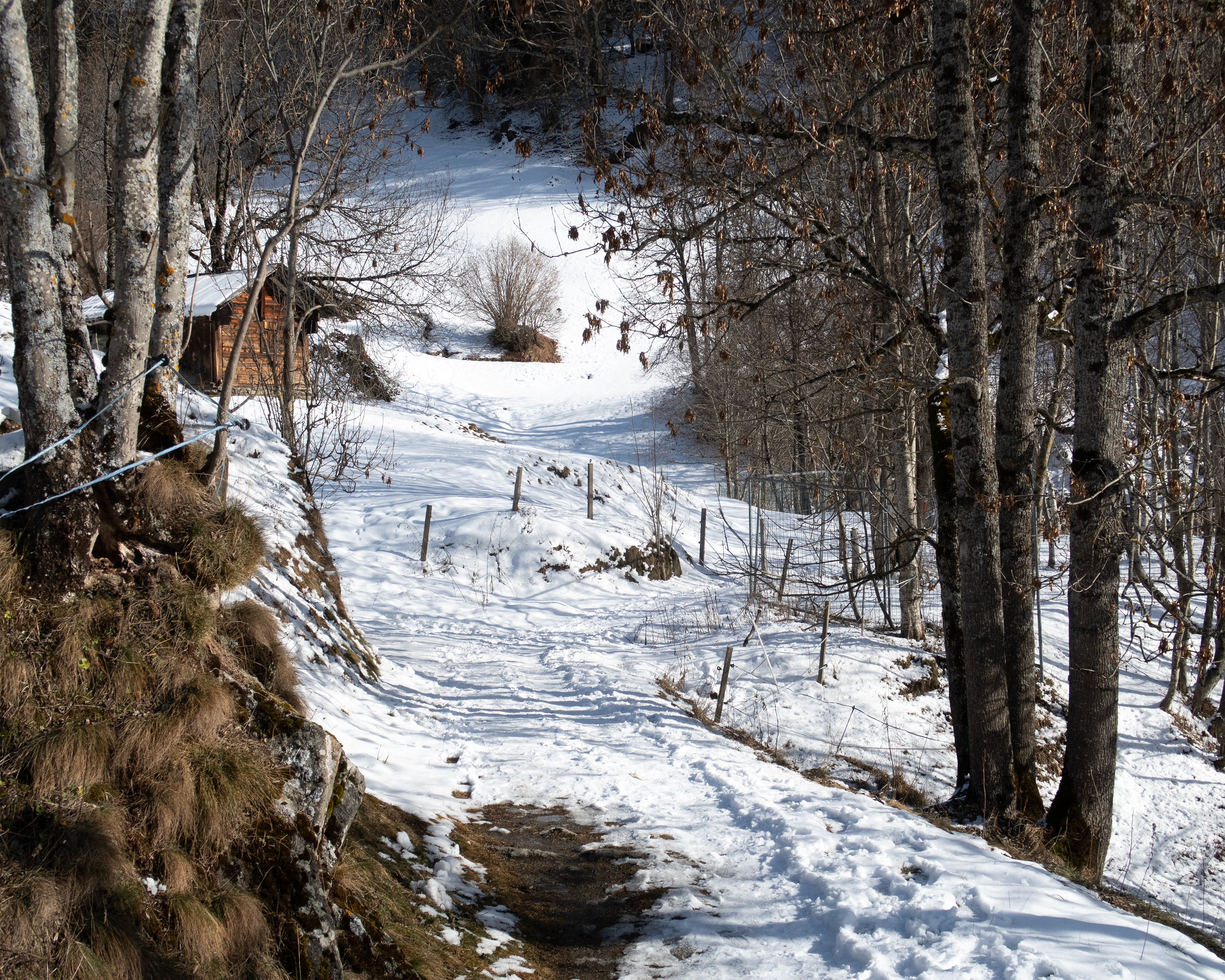 Winterwanderweg Fiesch–Fieschertal